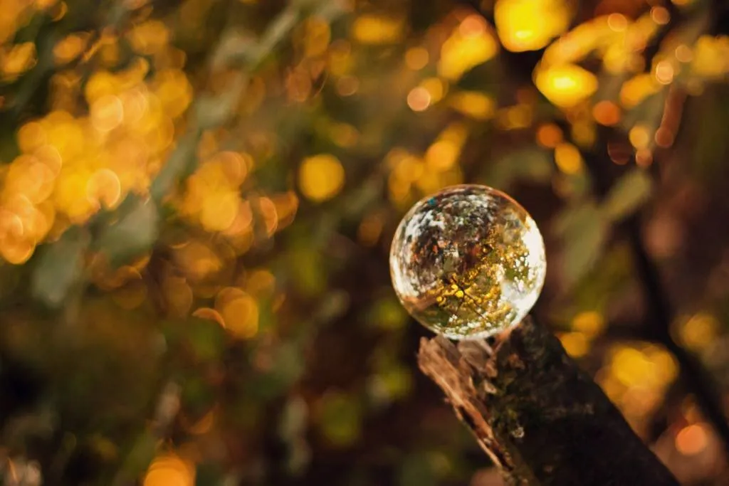 Reflections of Autumn