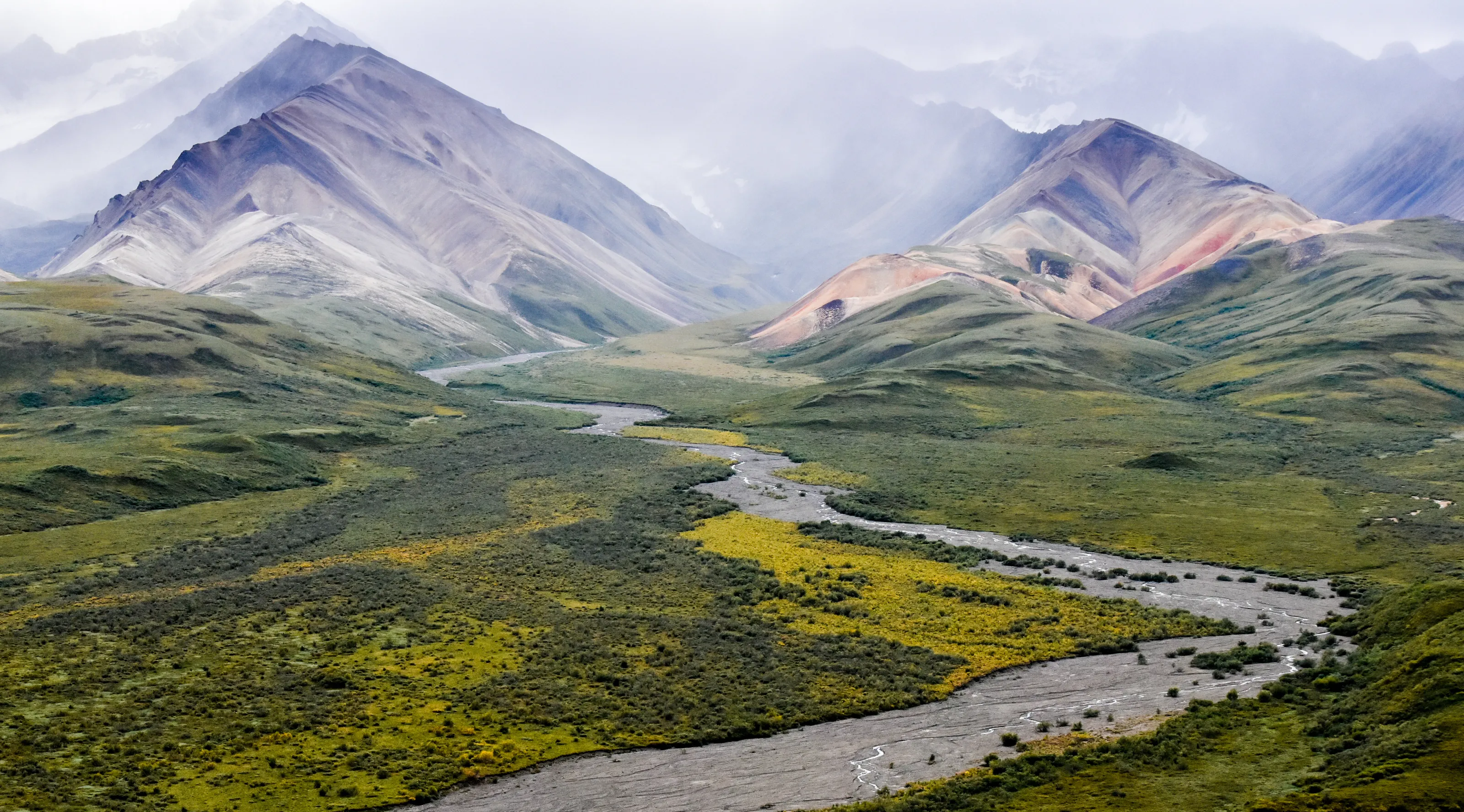 Denali Nation Park