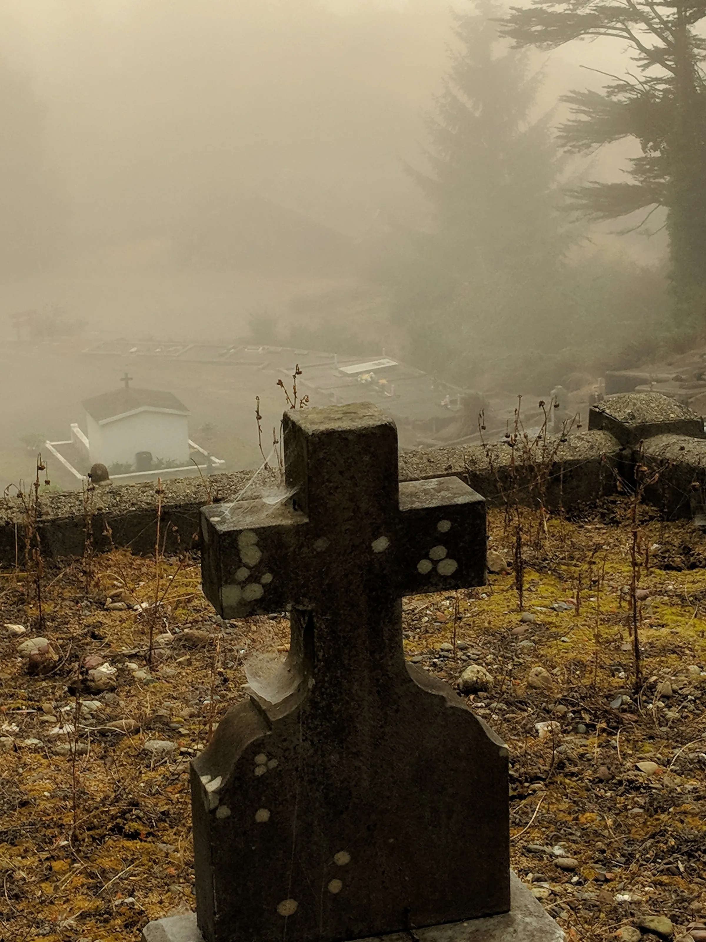 Foggy cemetery