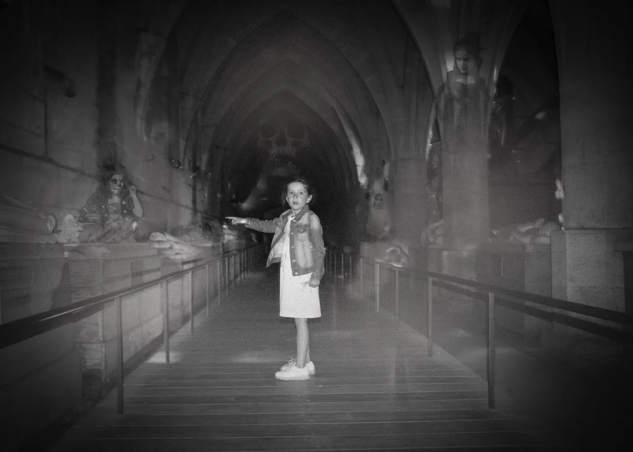 Entry 2967089