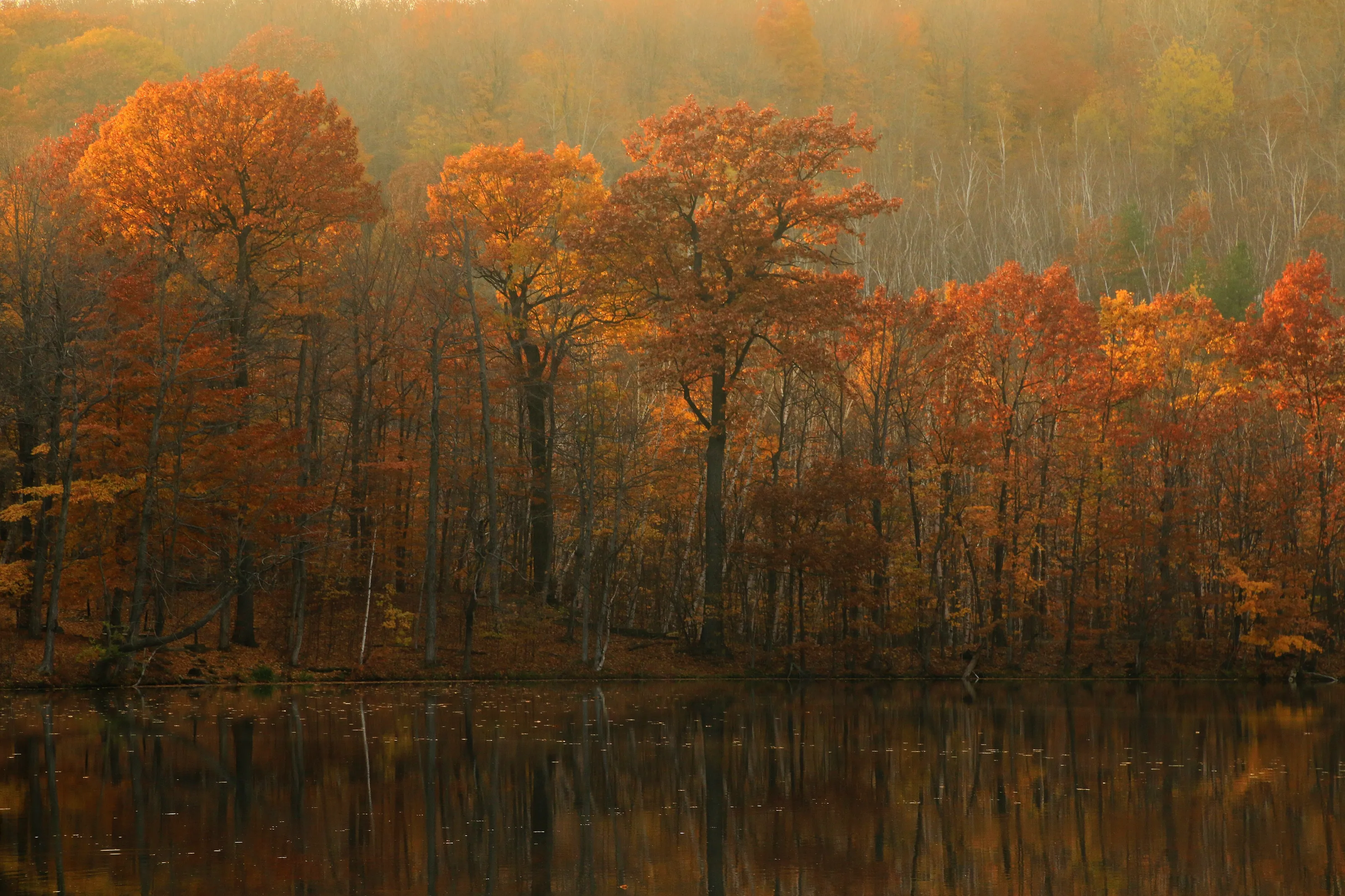 Lac des Bouleaux,Mont Saint-Bruno national park,Canada