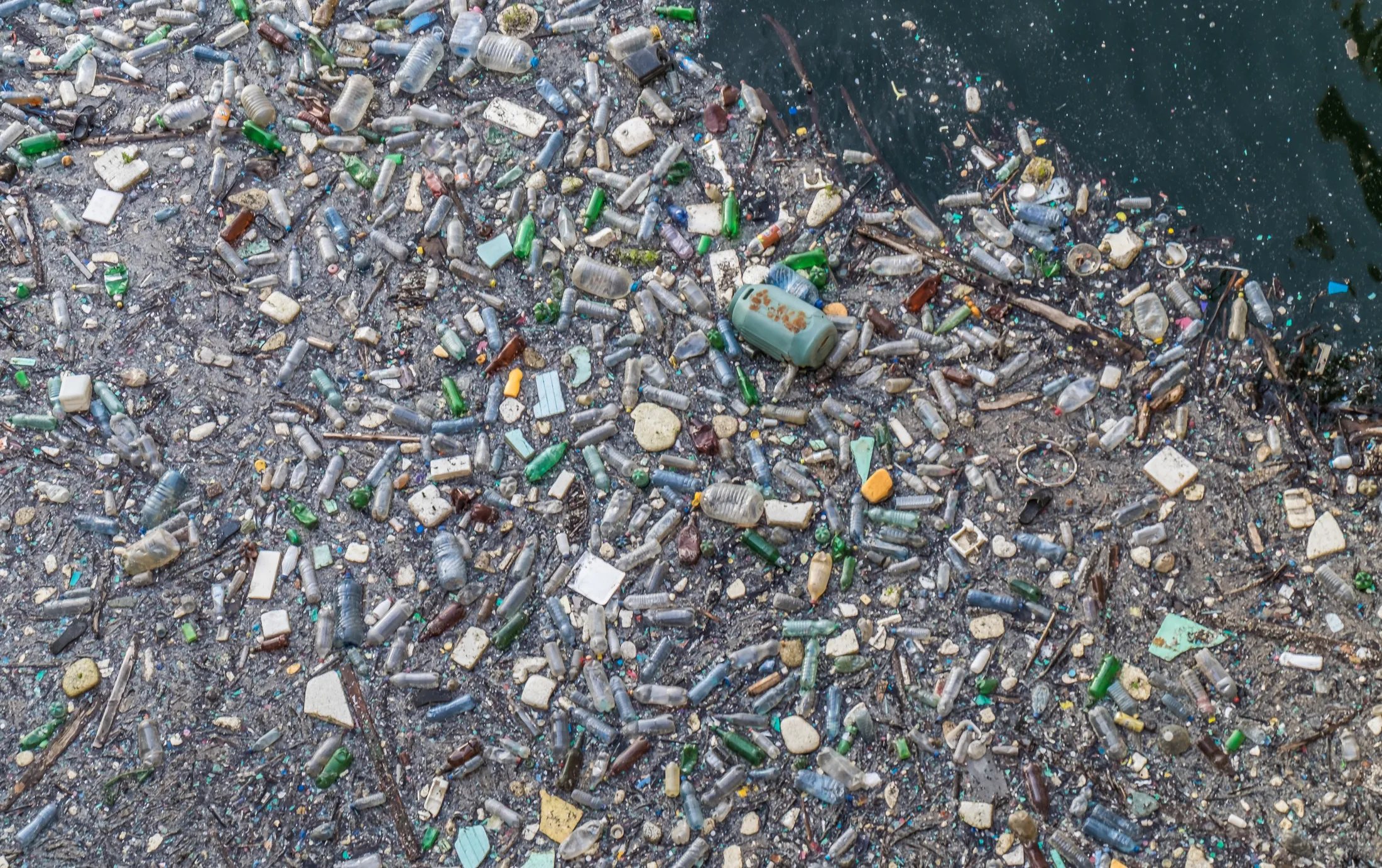 Entry 2971278