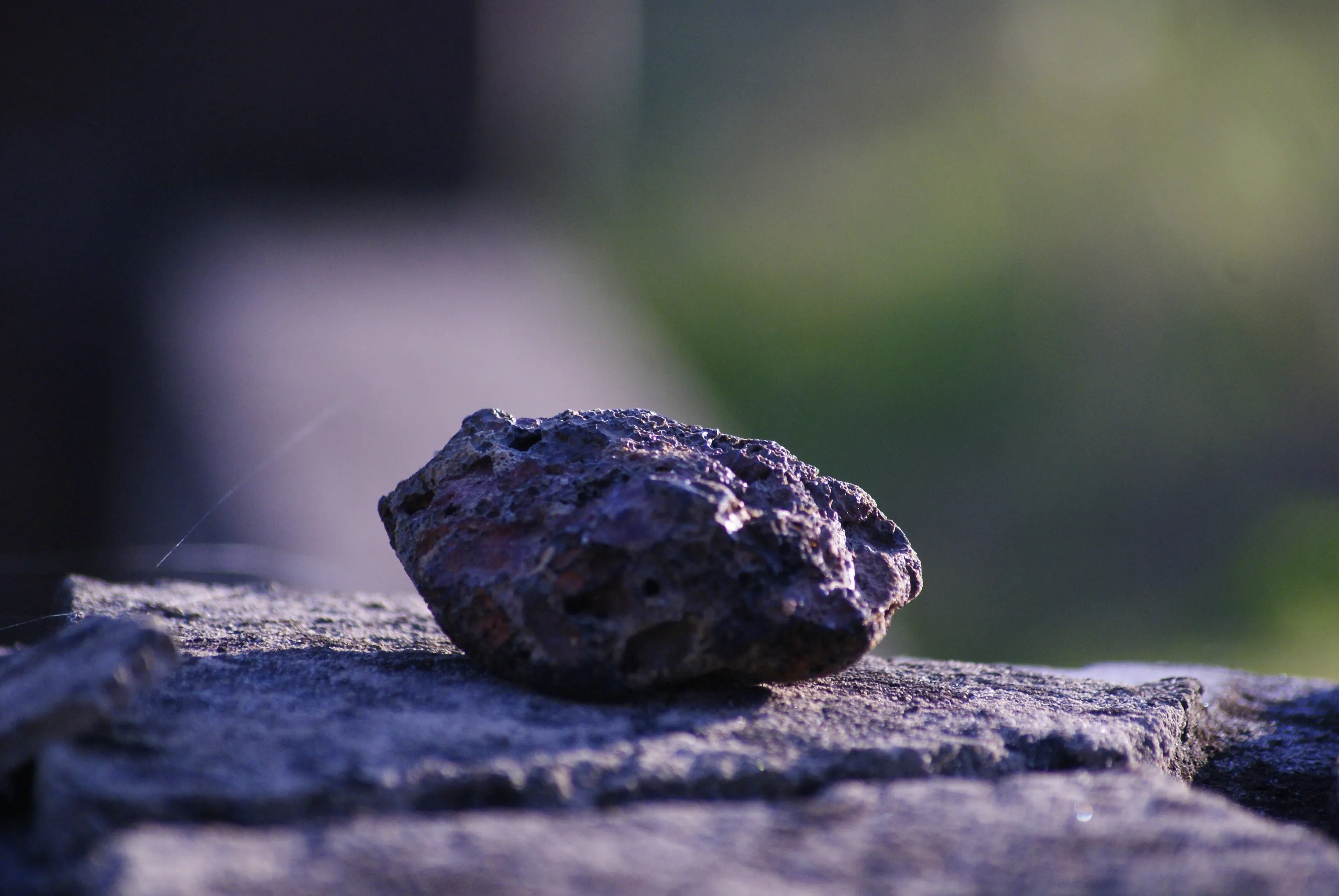Banner image