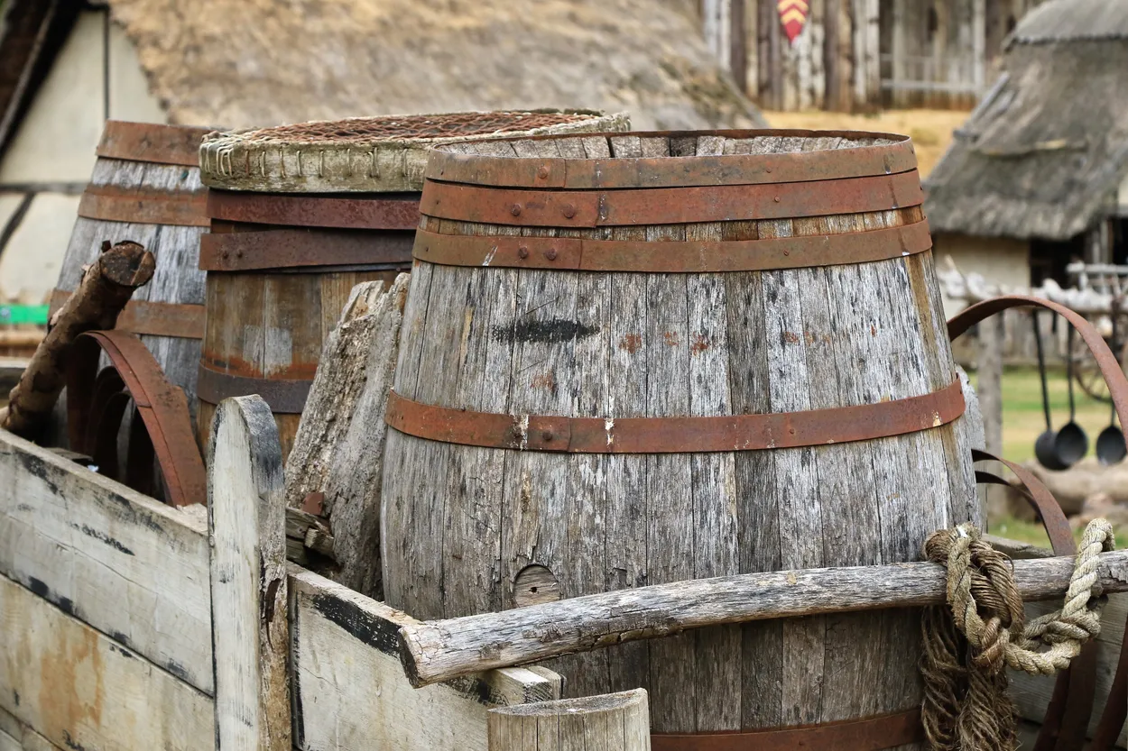 Entry 20301304