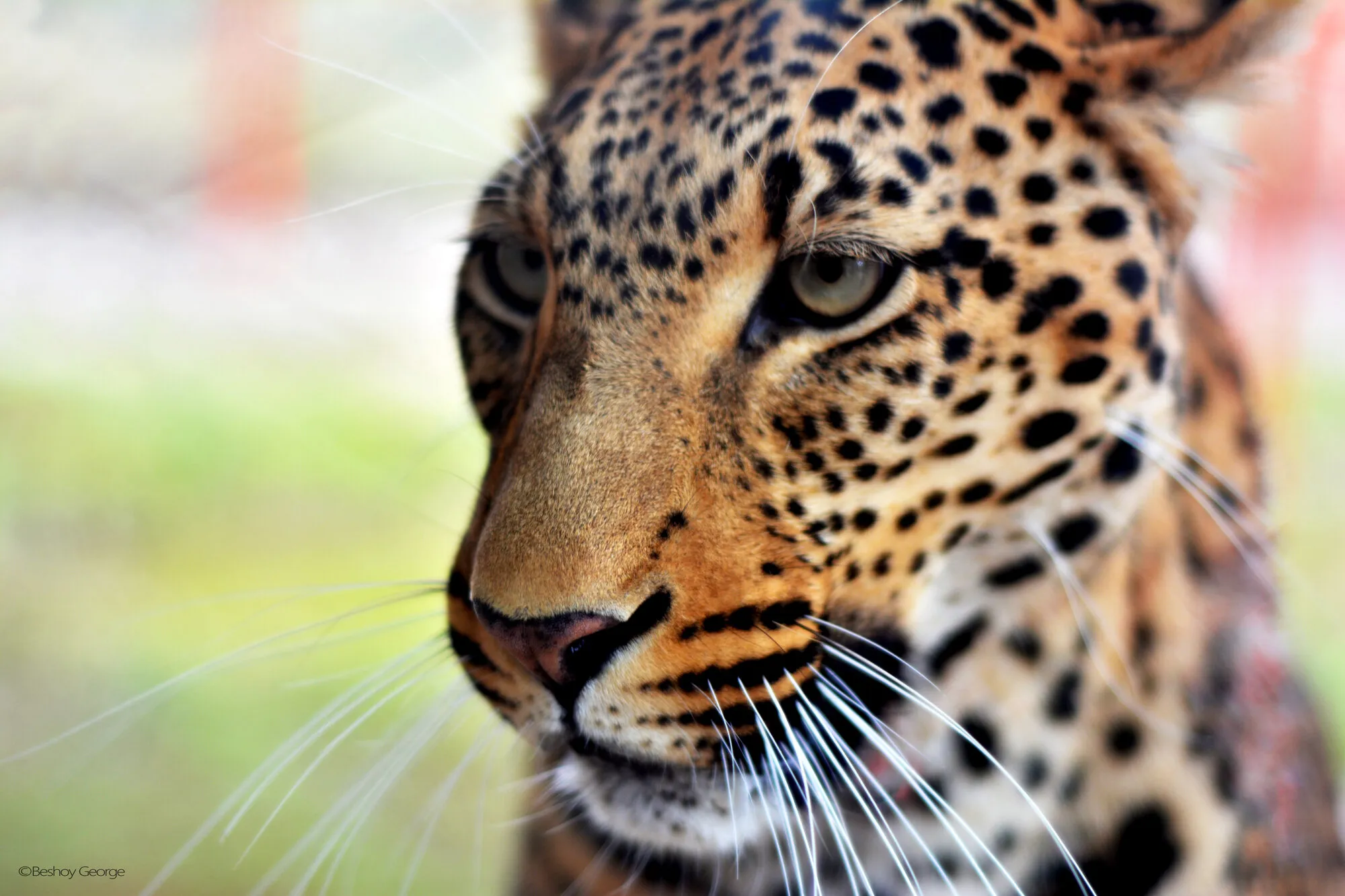 beauty around us!