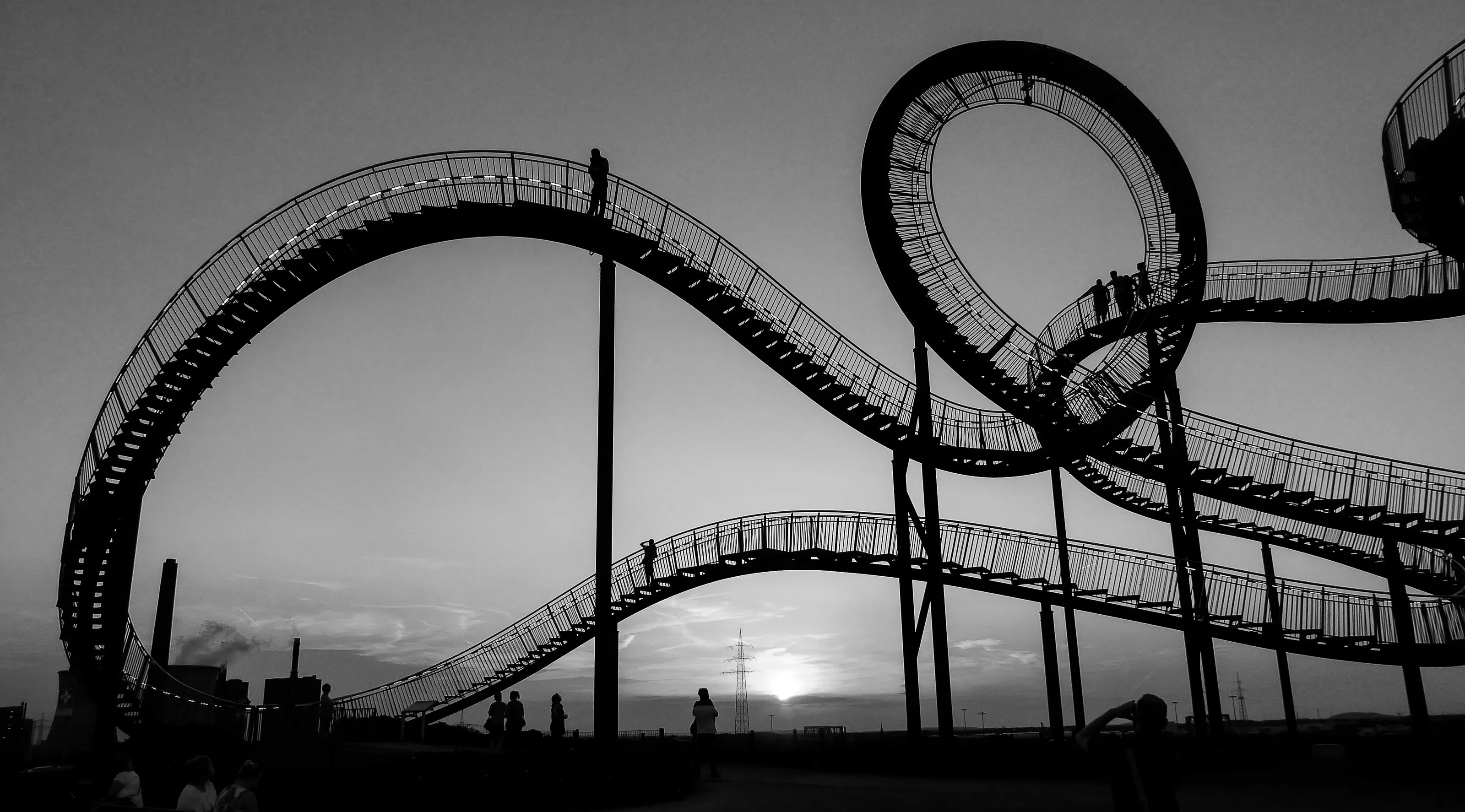 Tiger&Turtle 1