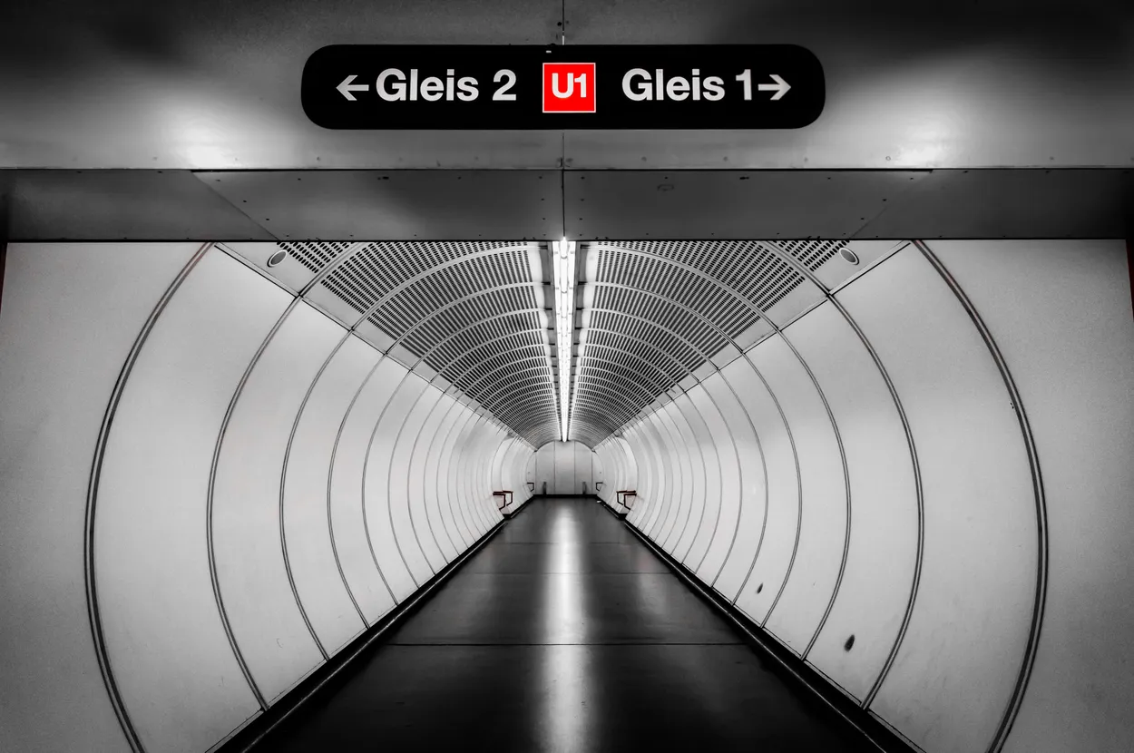 Entry 12334213