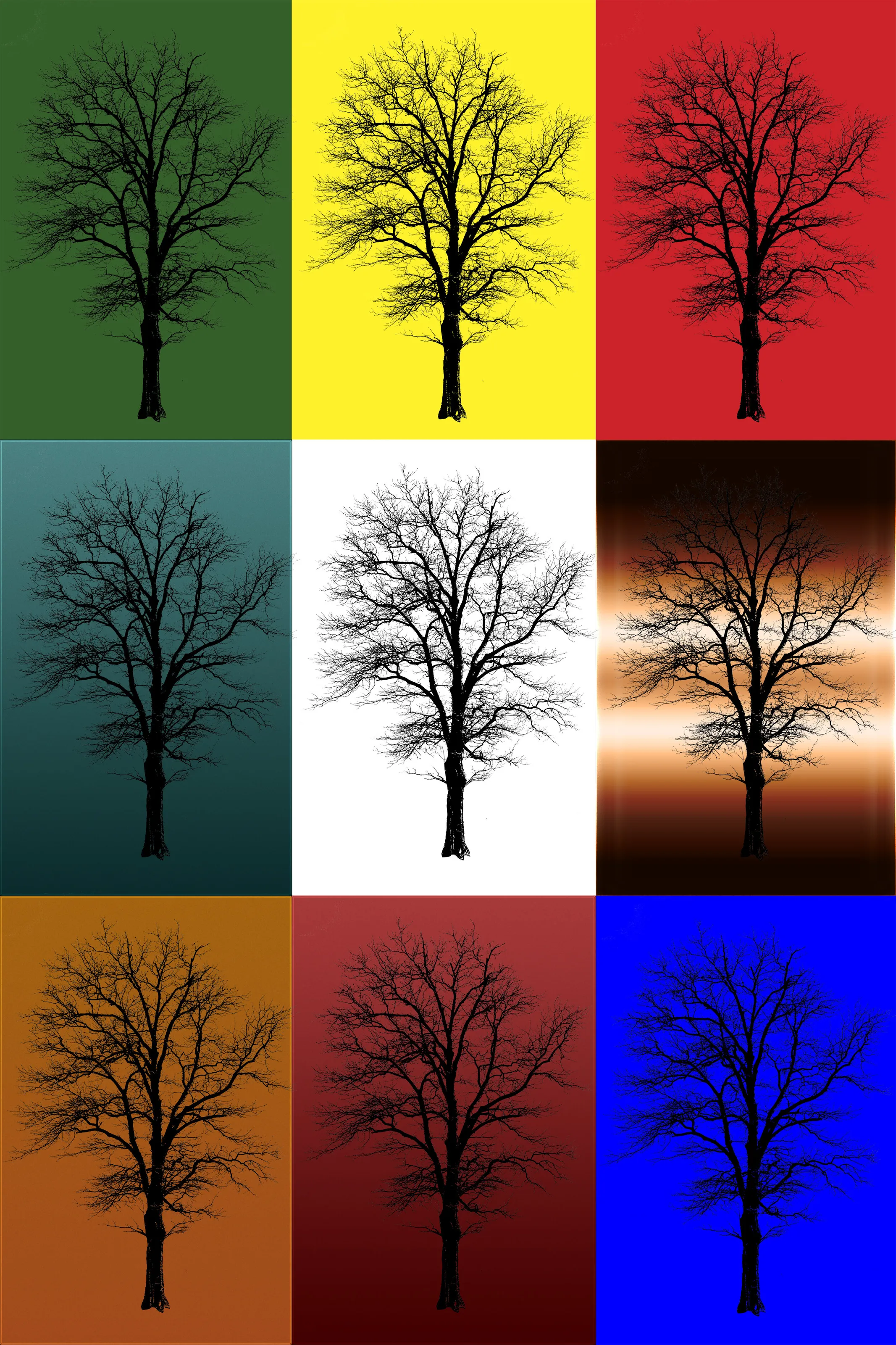 3x3 the tree