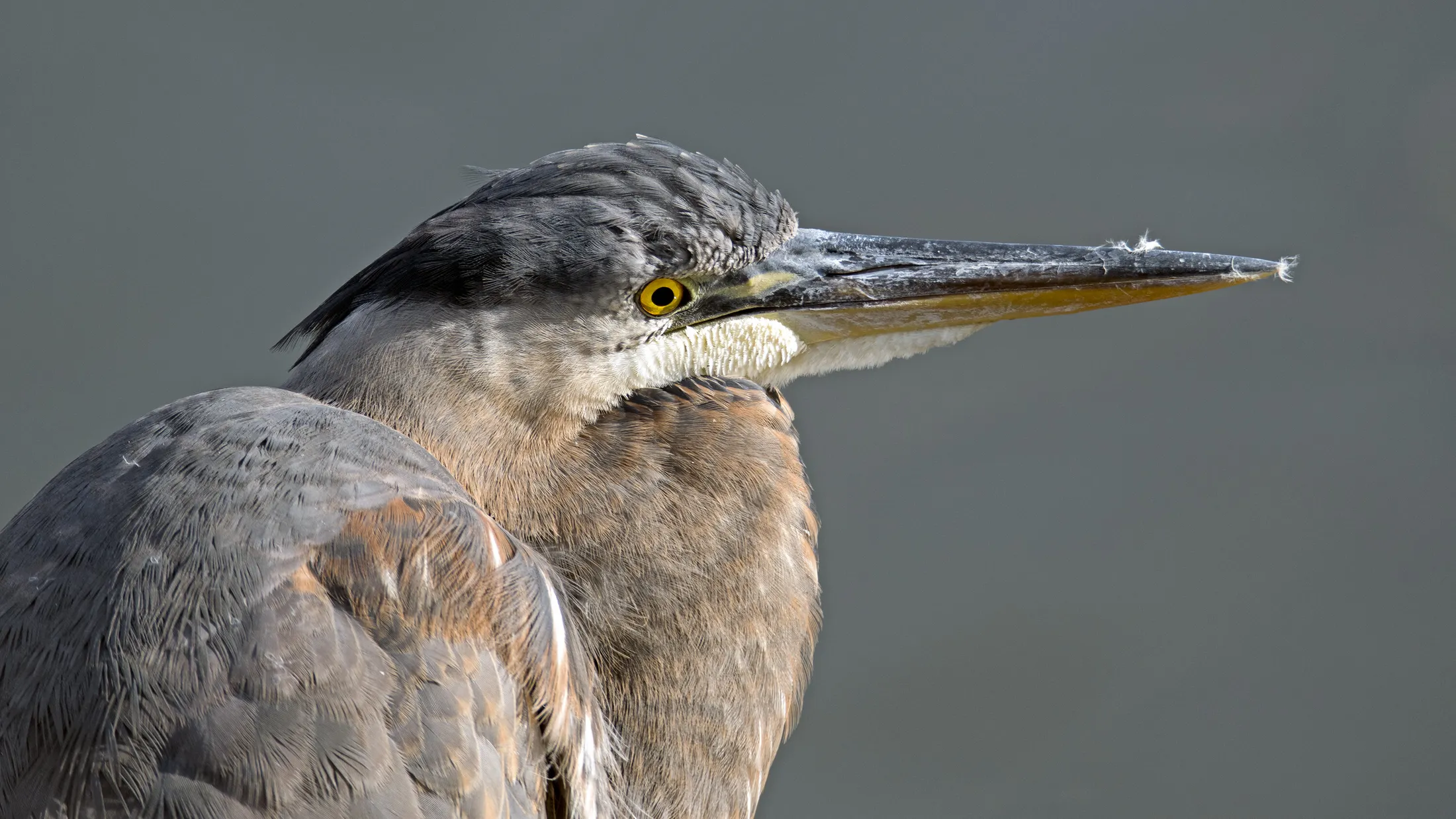 Entry 7713978