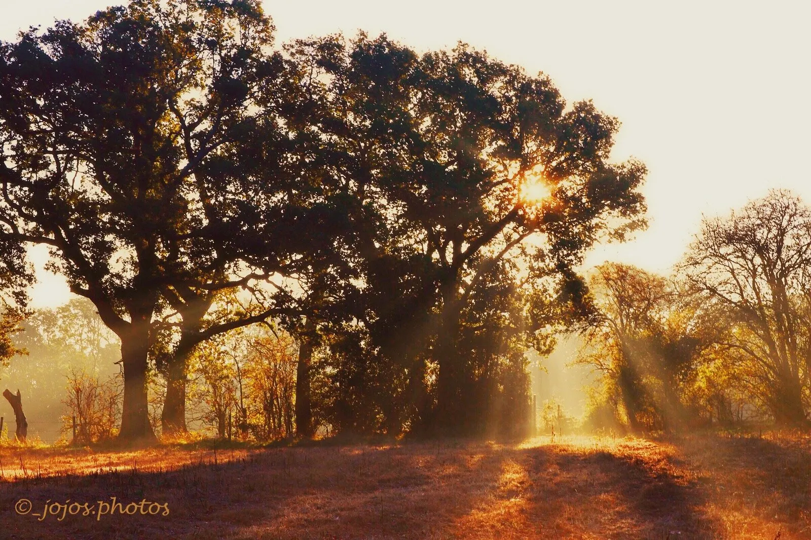 Beautiful Early Morning