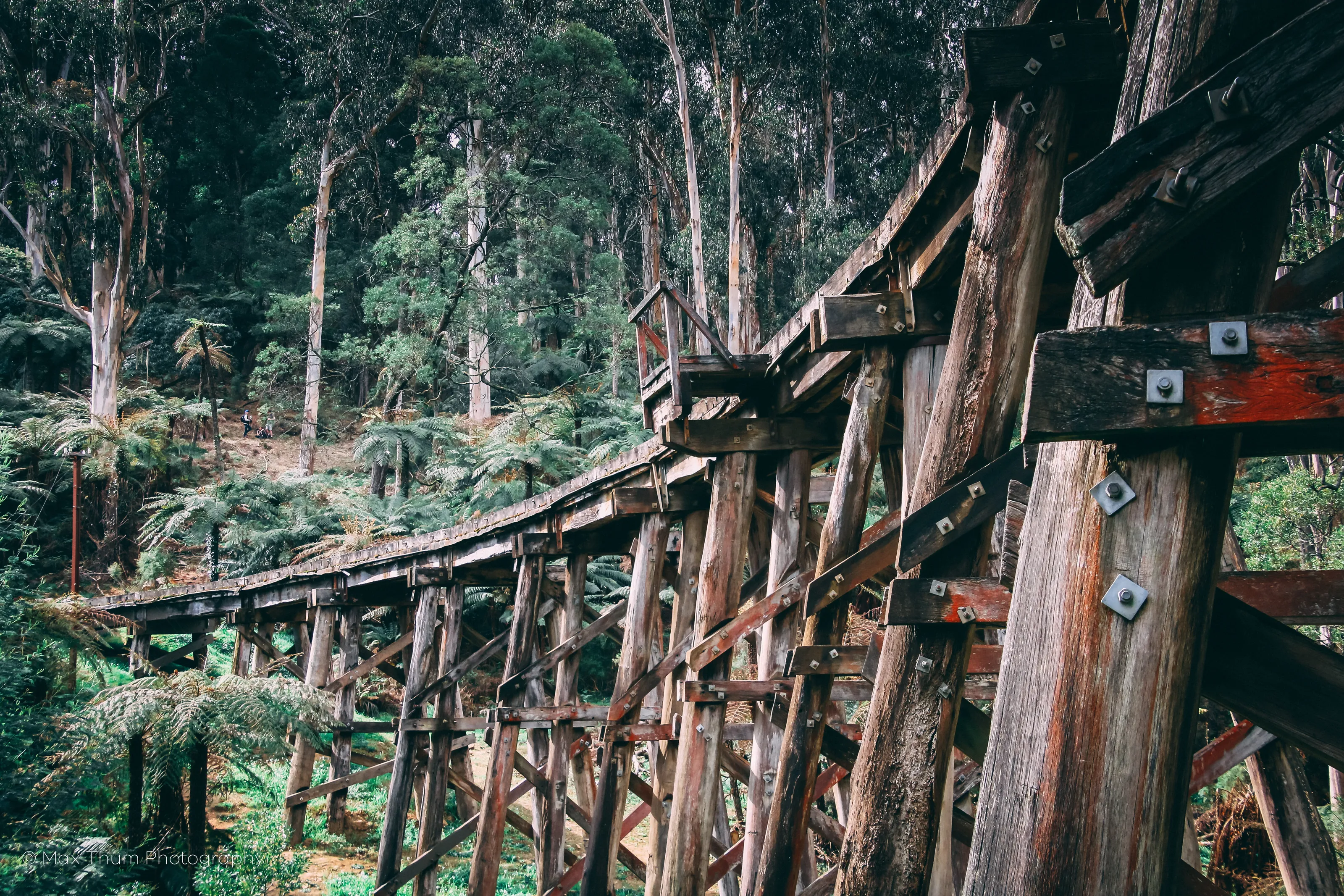 Monbulk Trestle Bridge