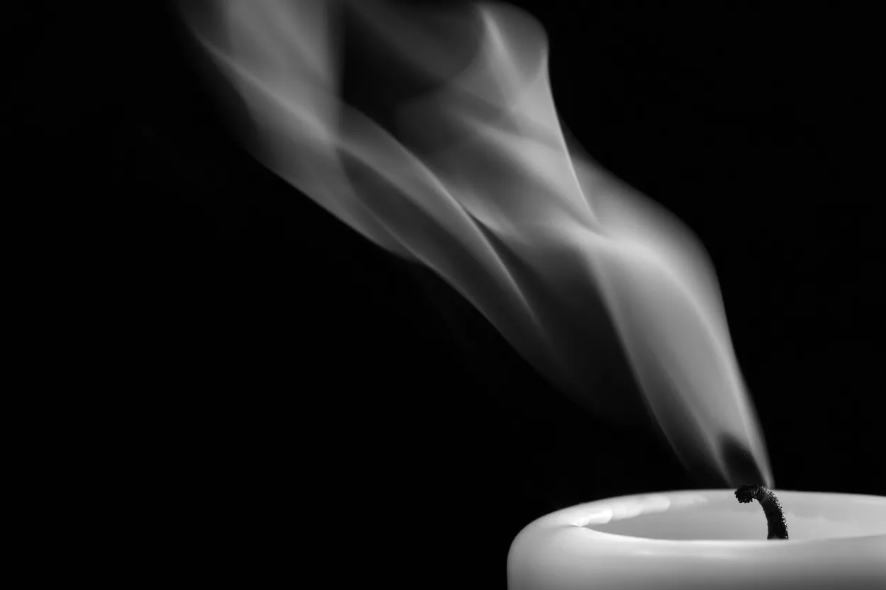 Entry 3026583