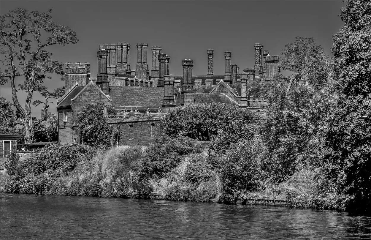 Entry 4538586