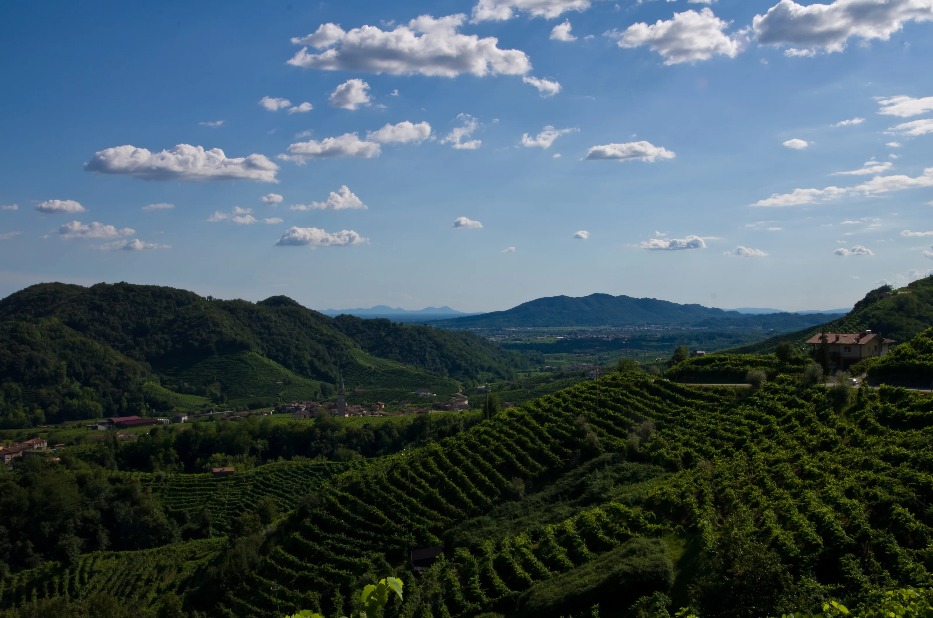 Prosecco hills