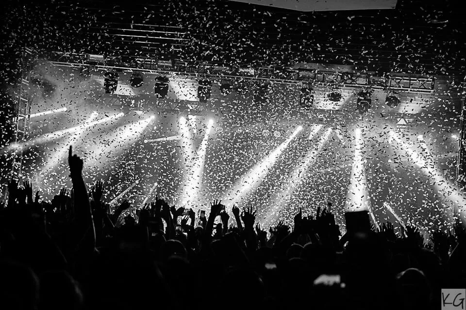 Crowd Shot of Twenty One Pilots Show