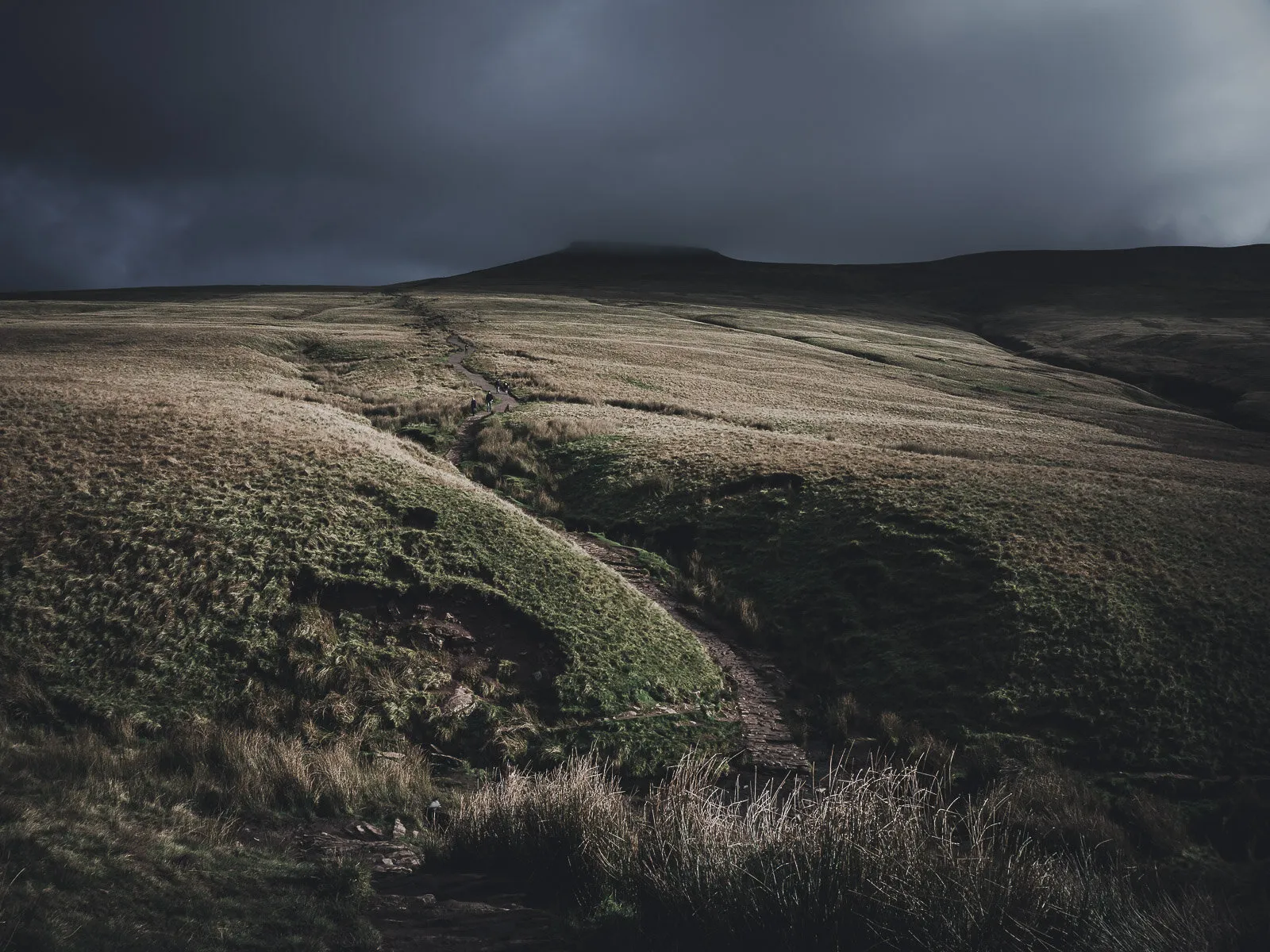 Follow the climb