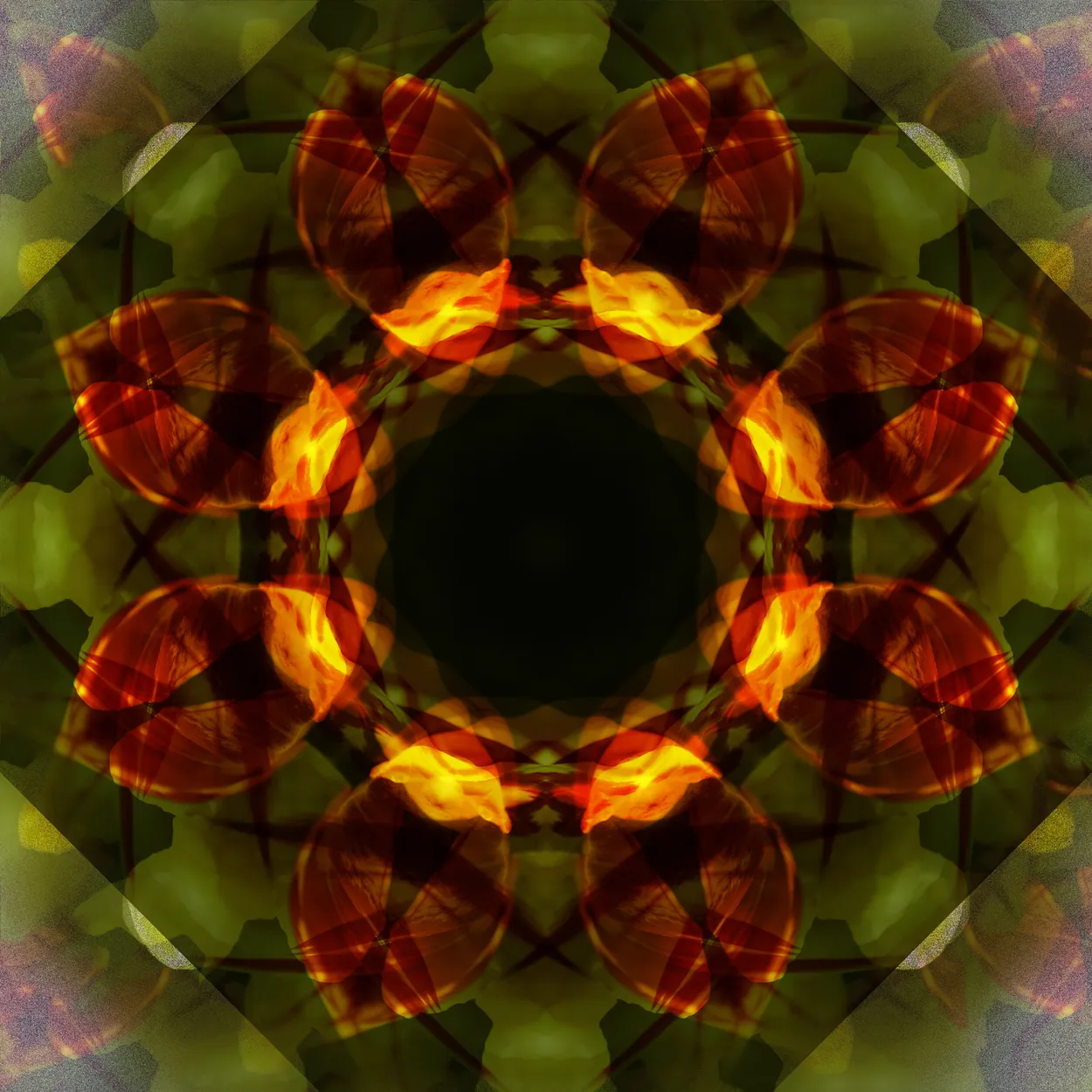 Entry 3040205
