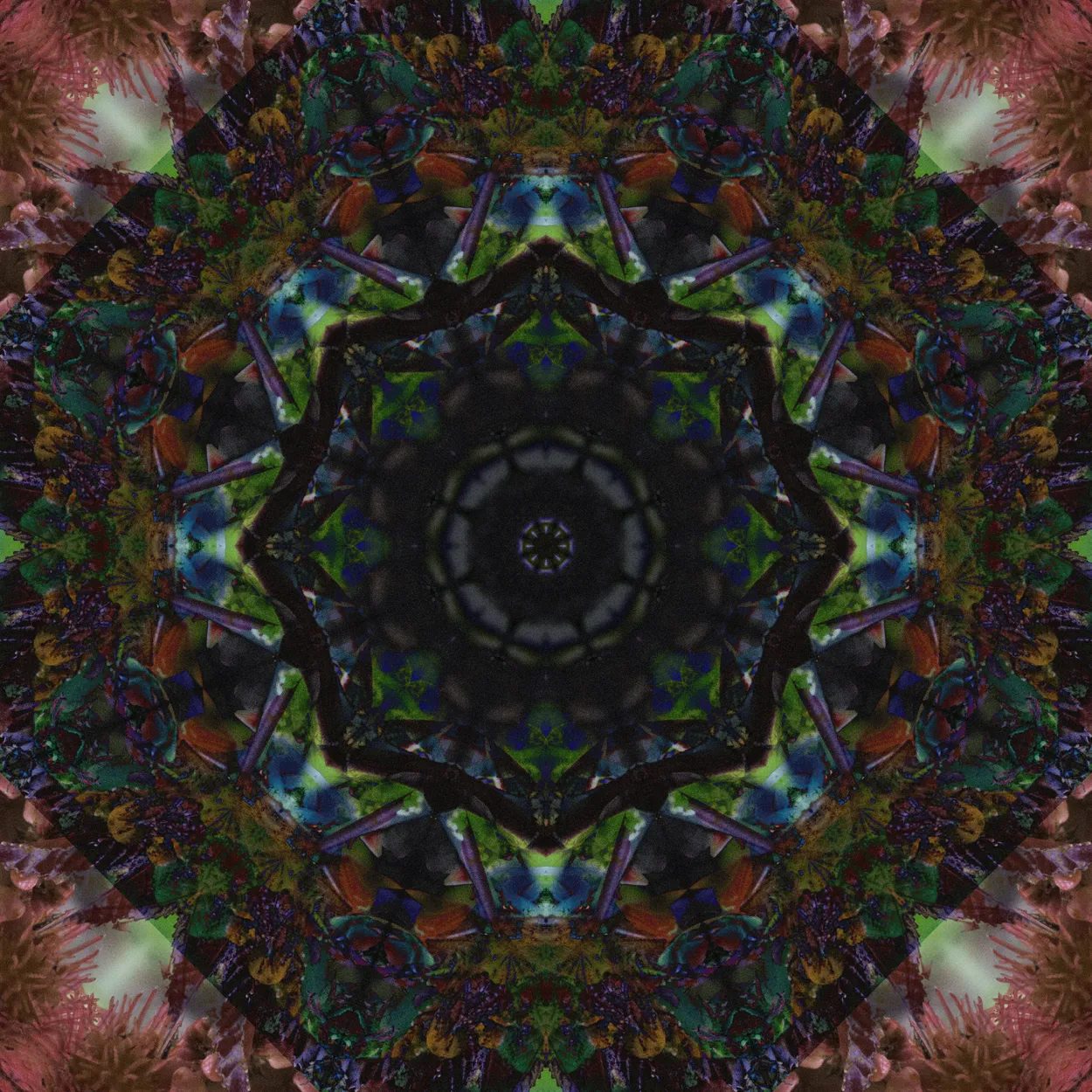 Entry 3040779