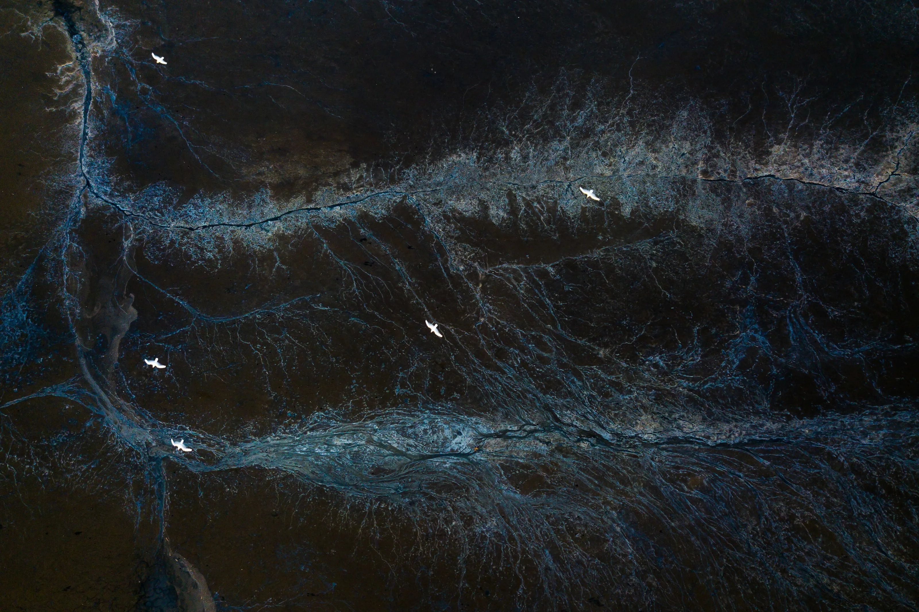 blue veins