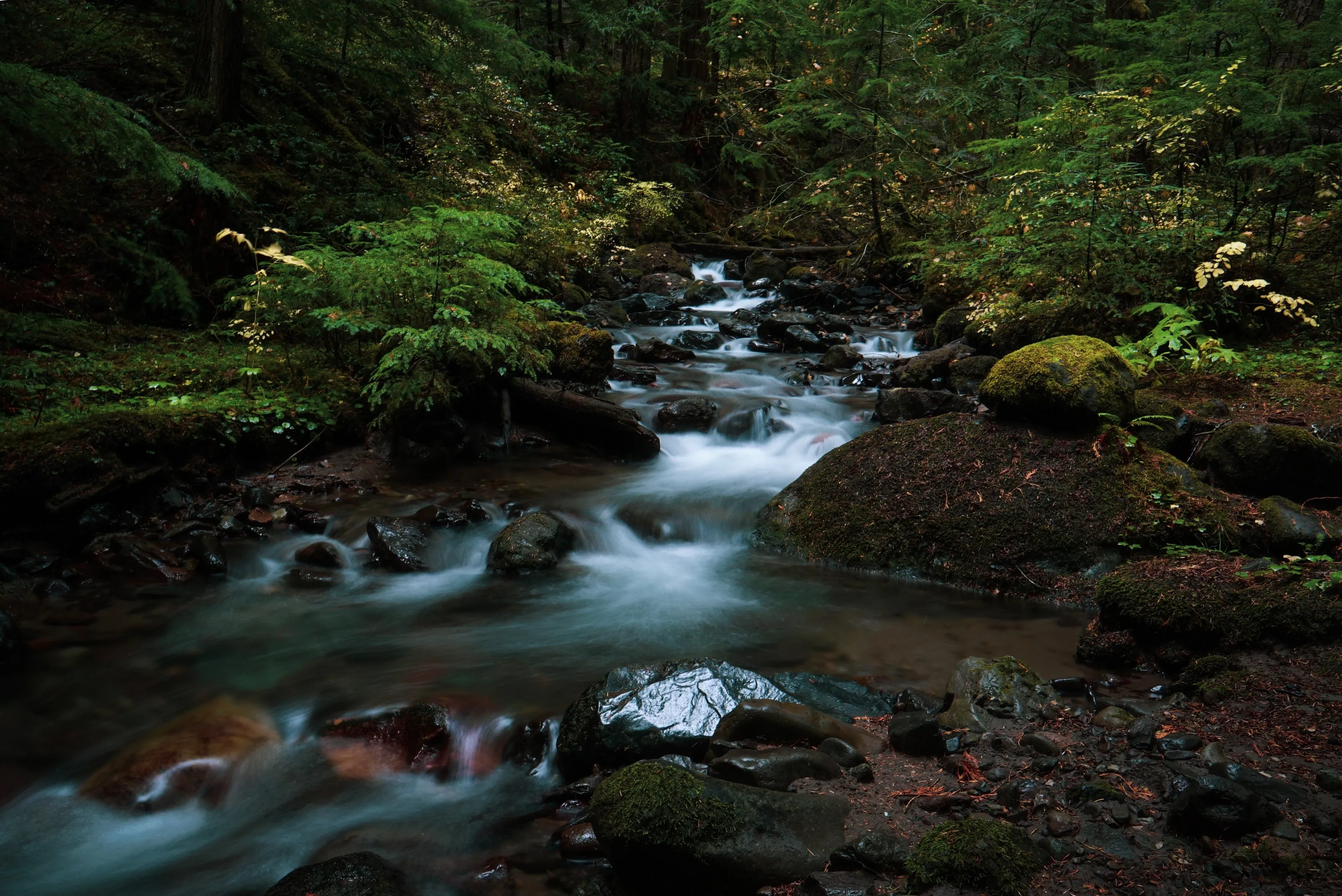 Goat Creek
