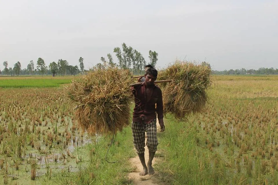 Farmer of Bangladesh