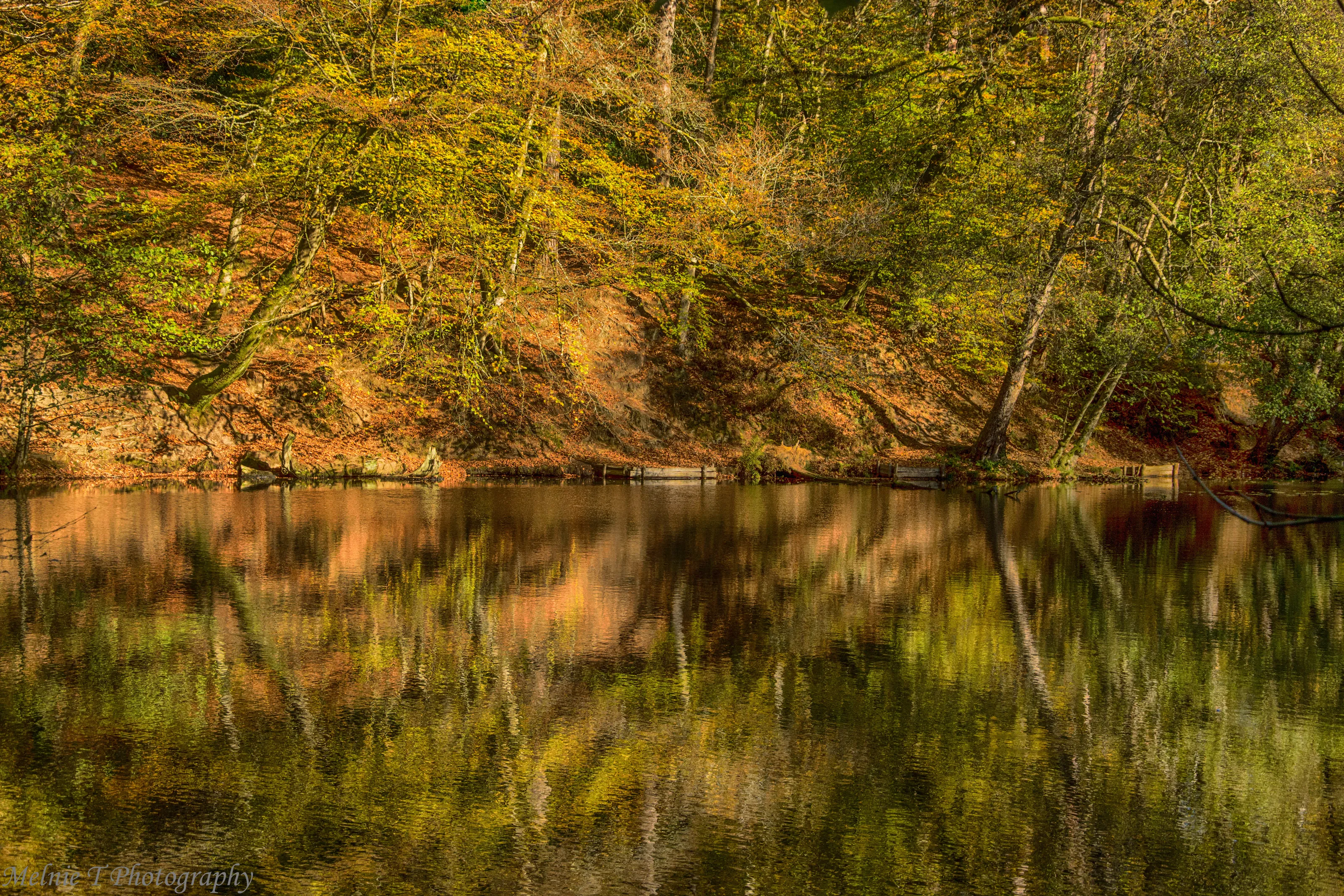 Autumn Reflection