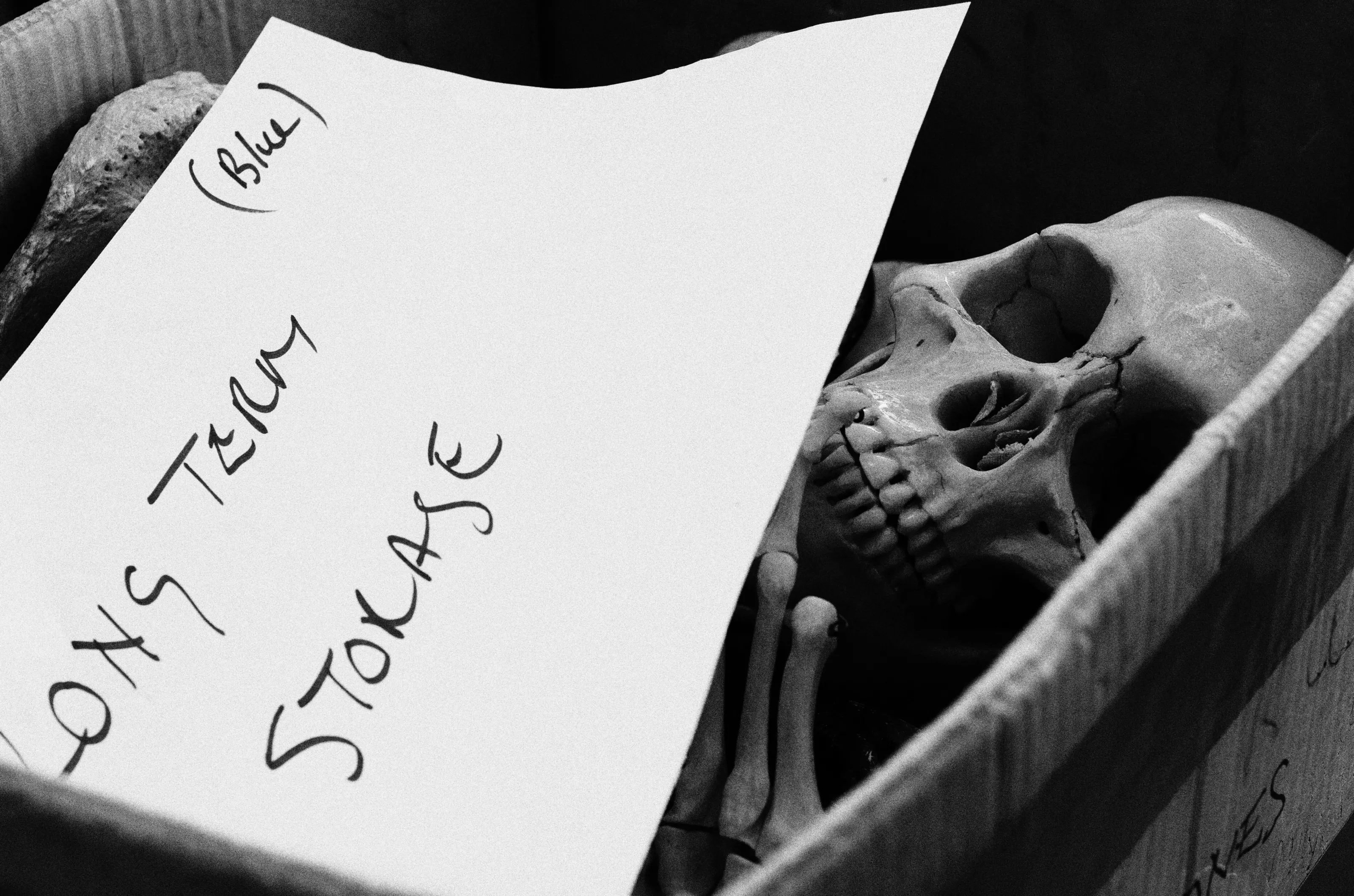 Memento Mori