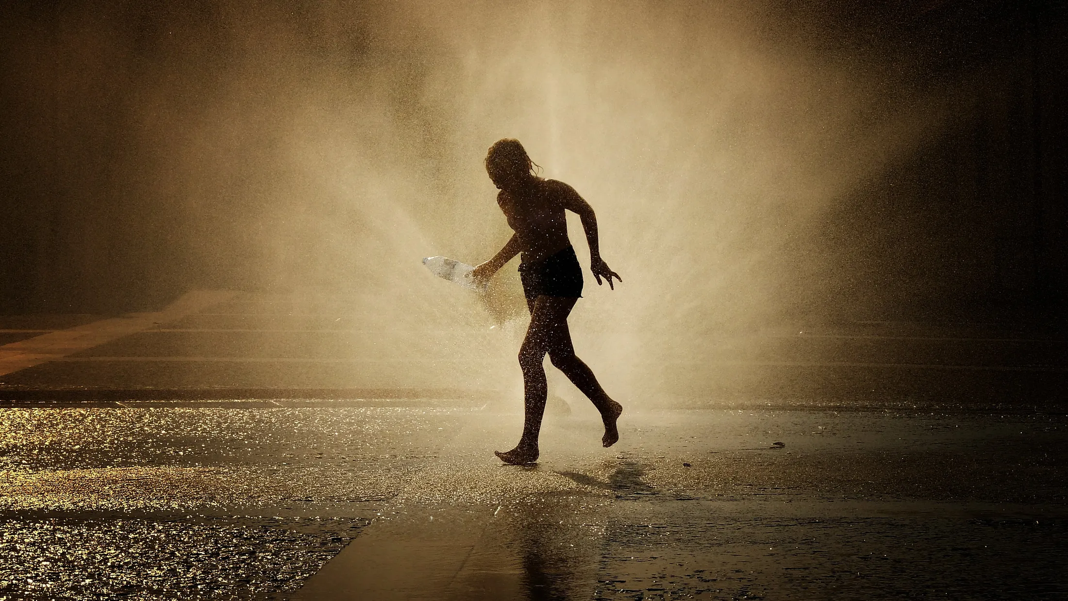Untitled image