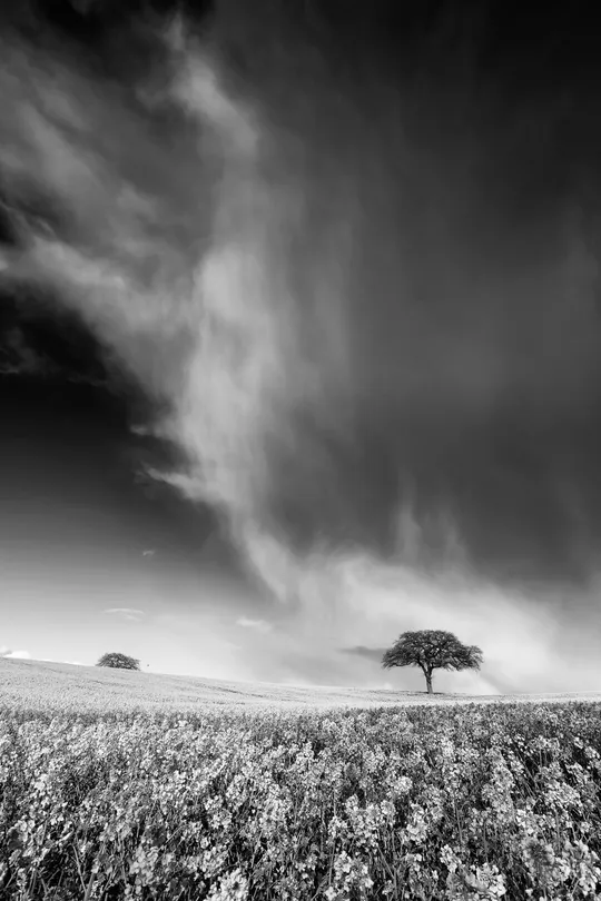 Passing Storm