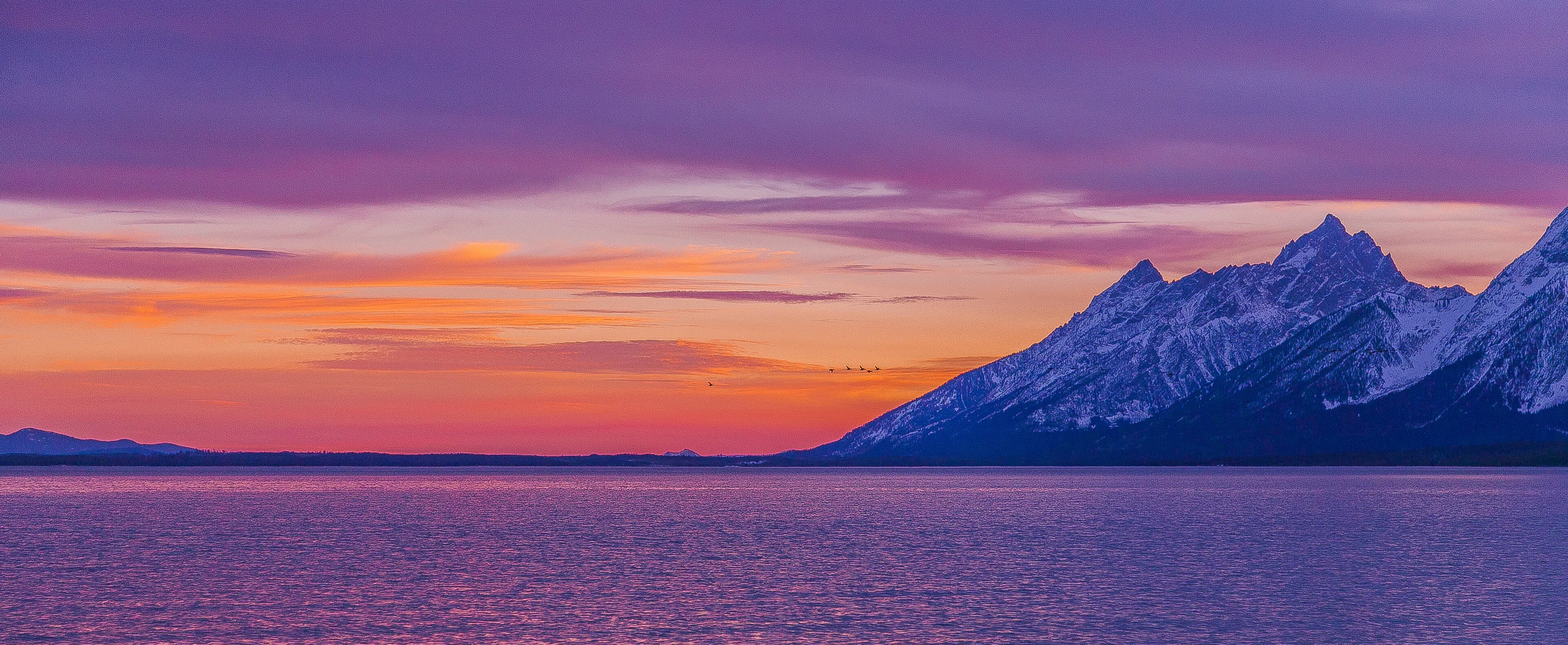 Purple Hour
