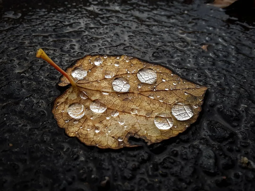 Have you ever seen the rain?