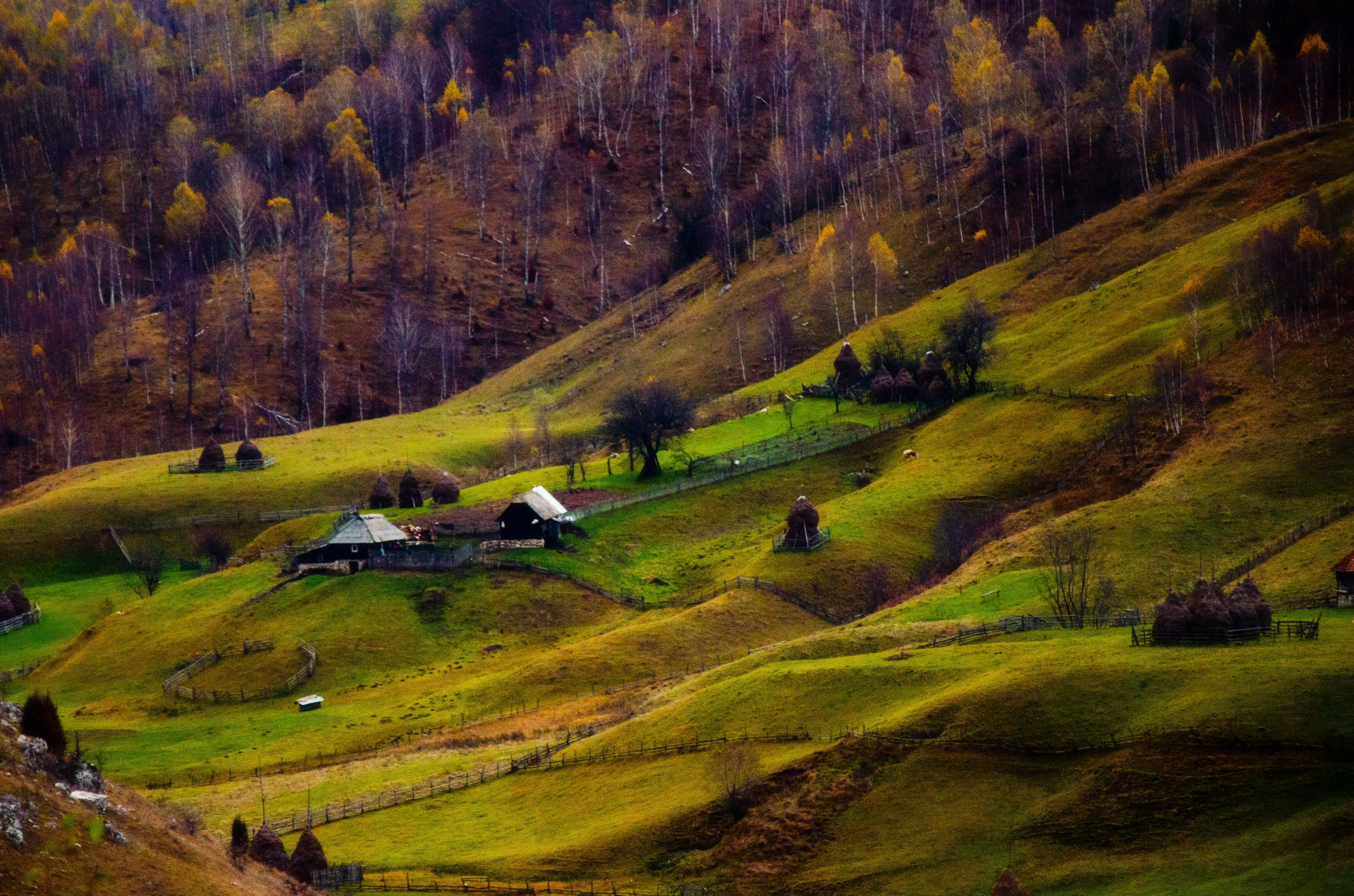 Silence of autumn