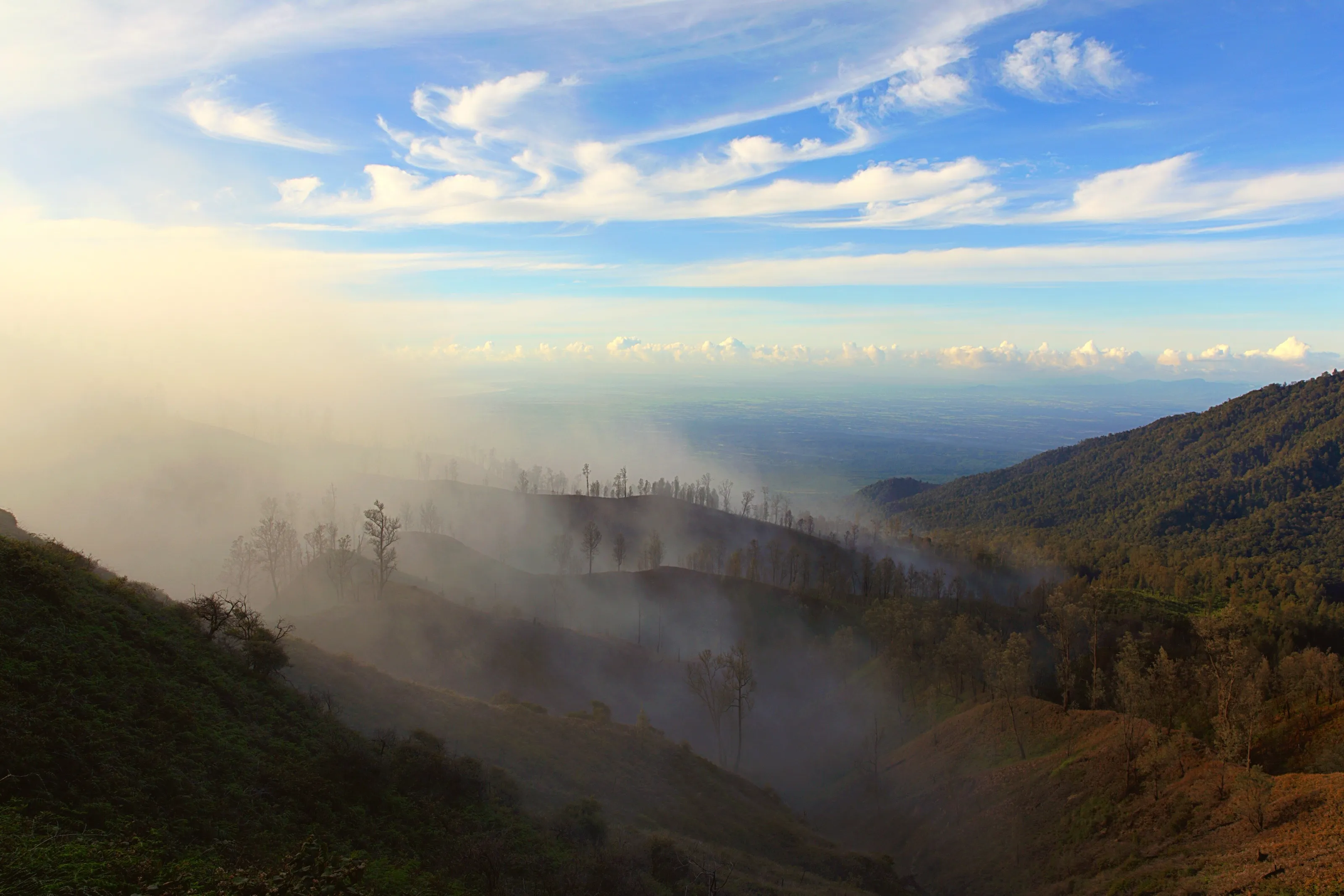 Morning Mist