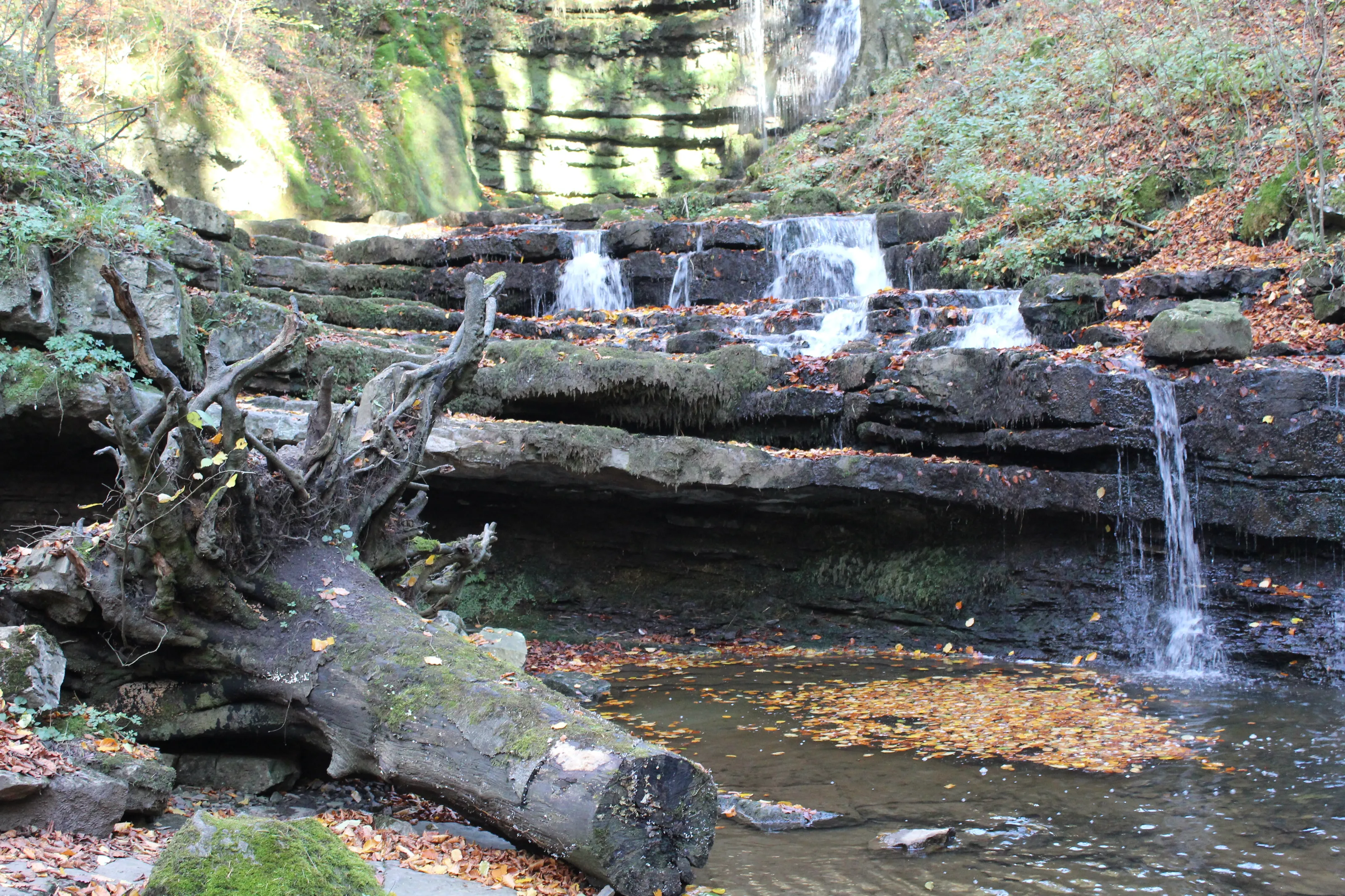 Scaleber force waterfall