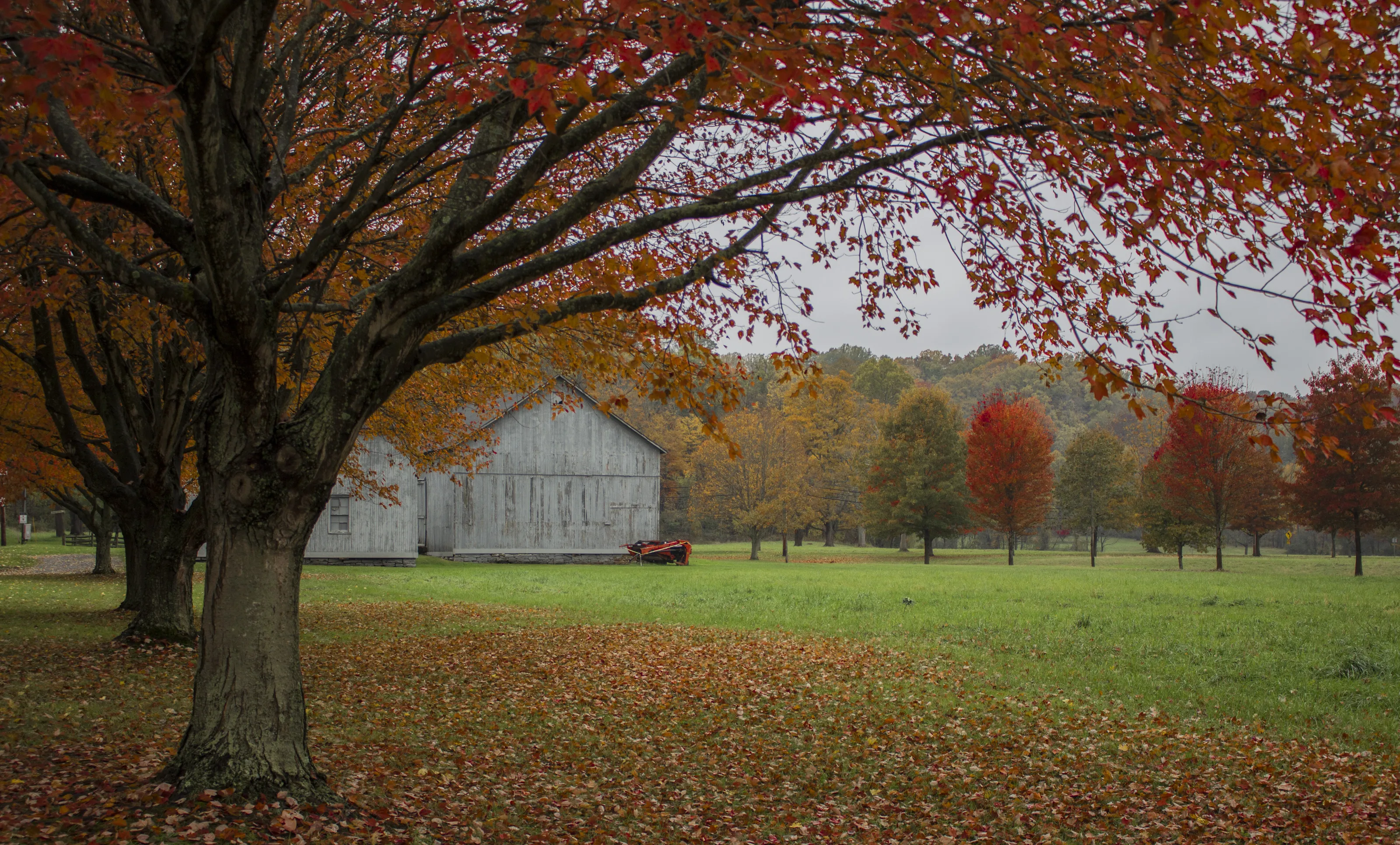 Hunting Valley