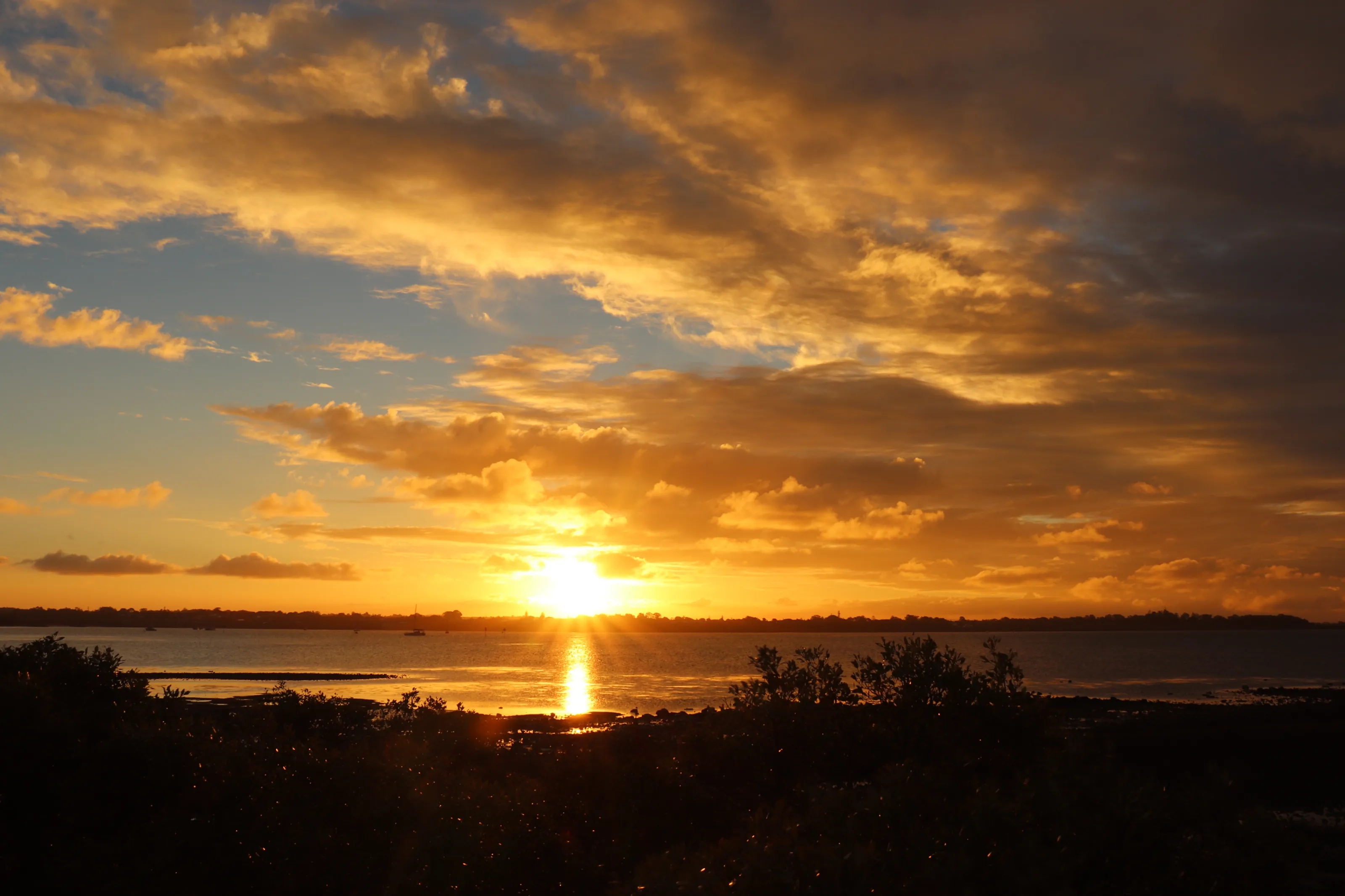 sunset