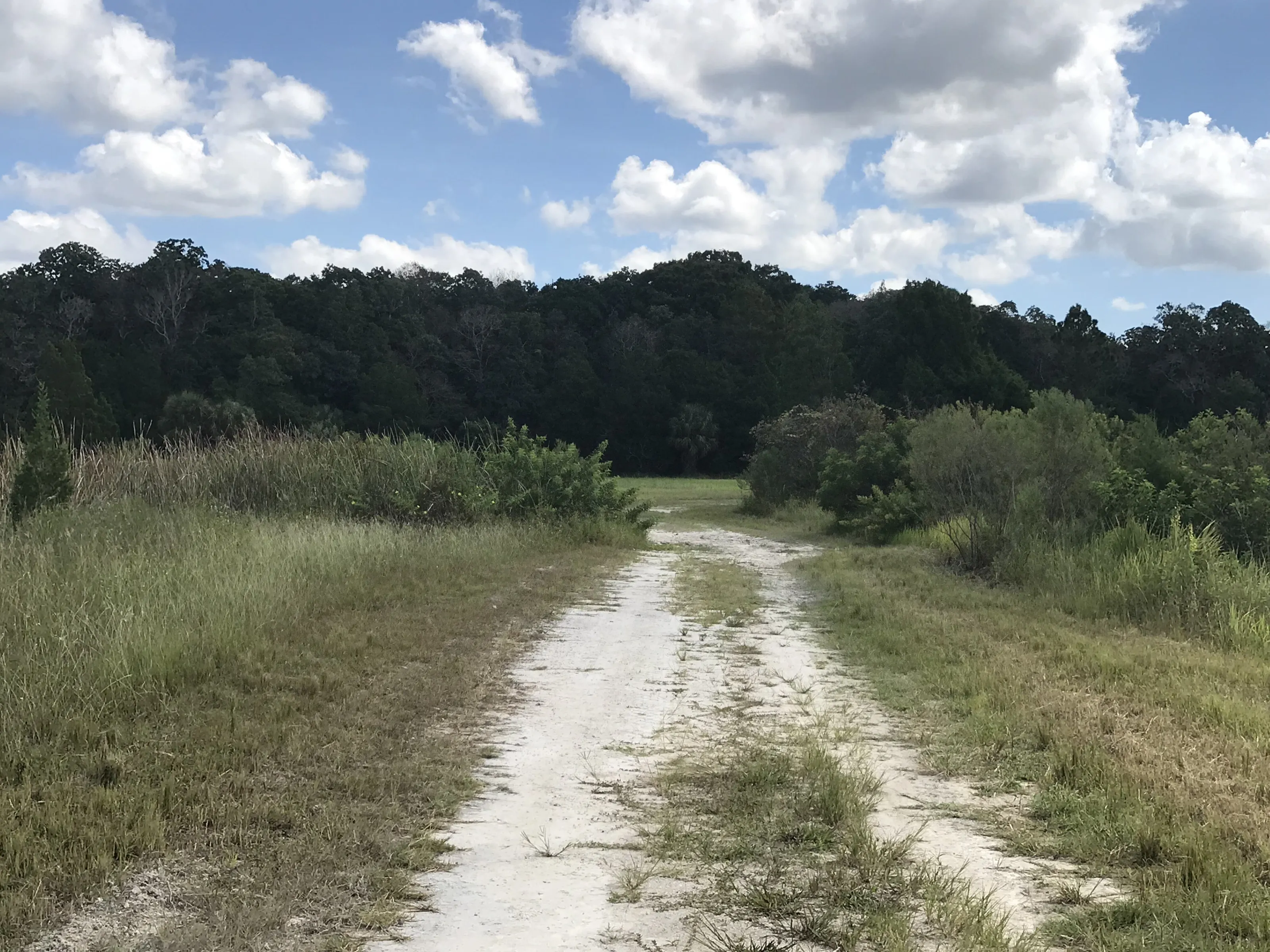Aripeka trail