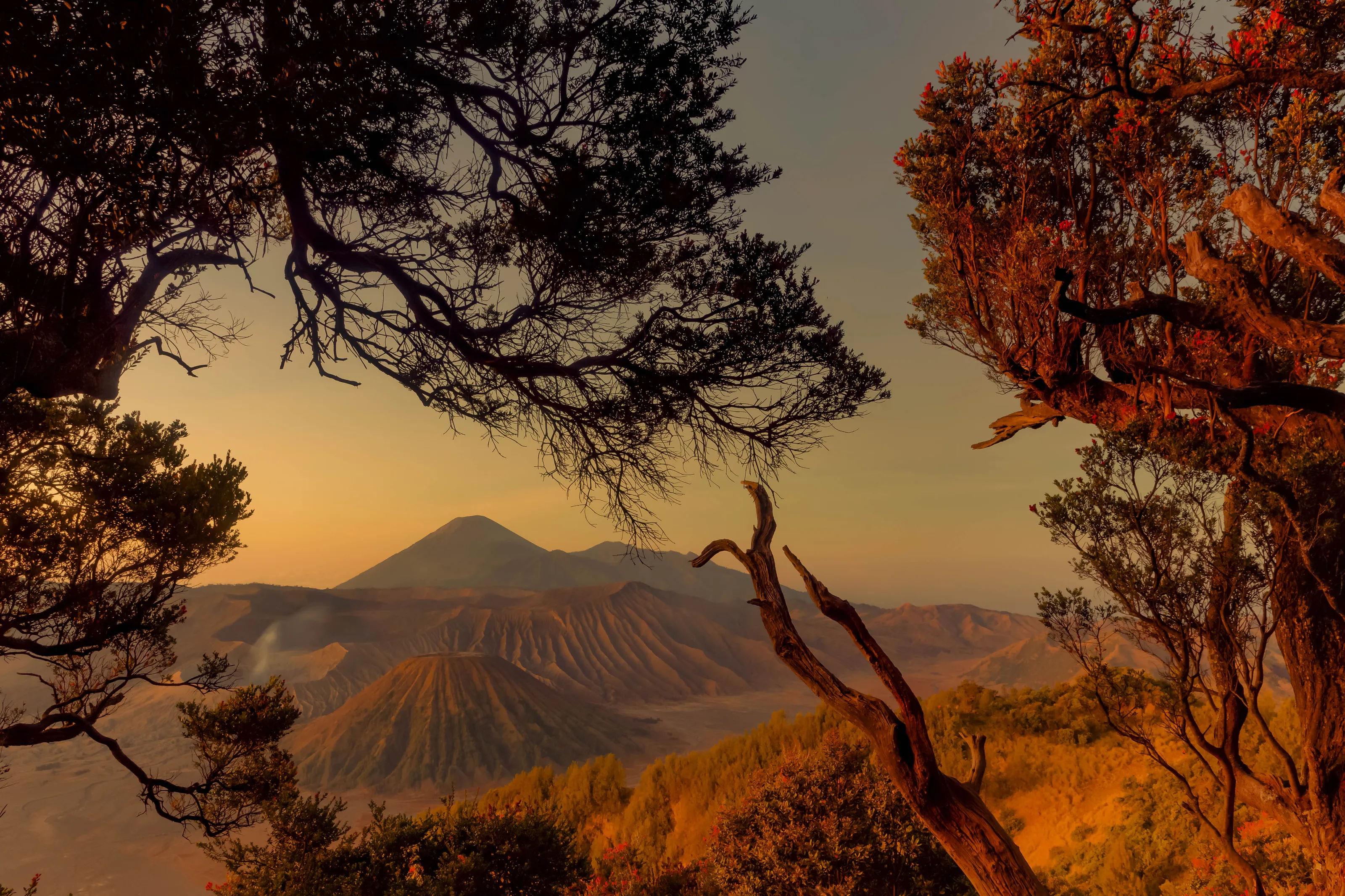 Majestic Sunrise At Mount Bromo, Indonesia
