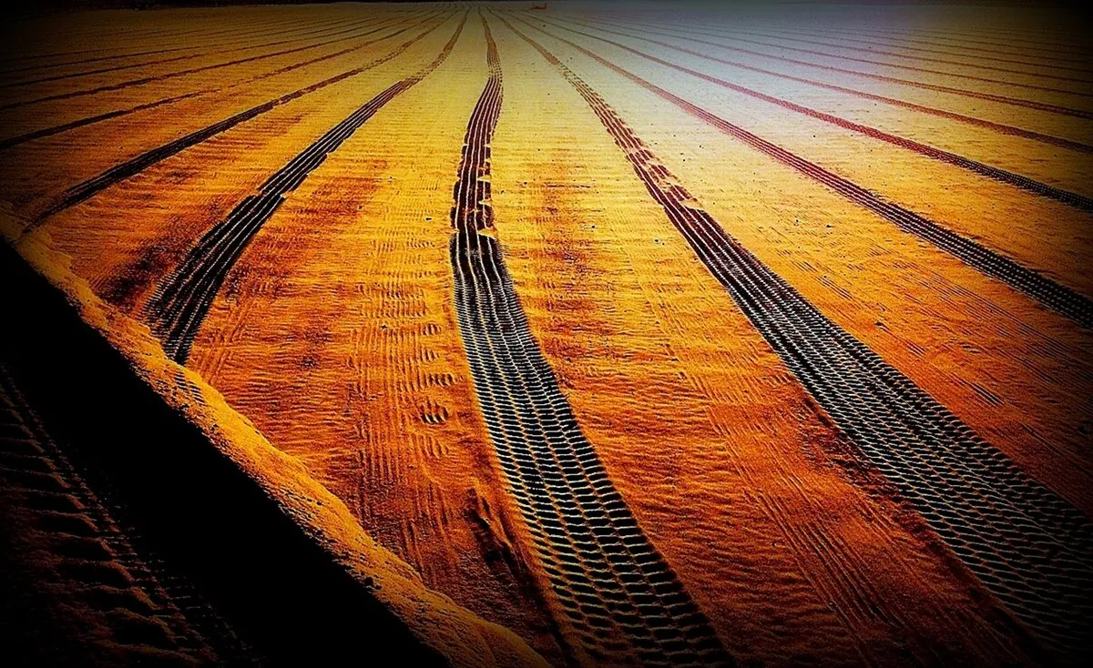 Tractor Lines in NY