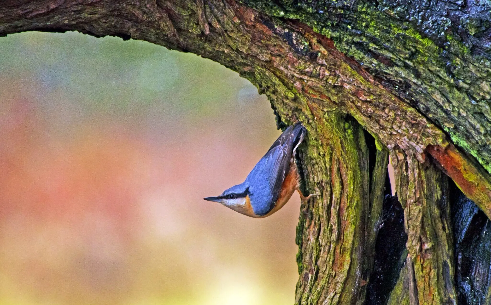 Sheltering from the rain