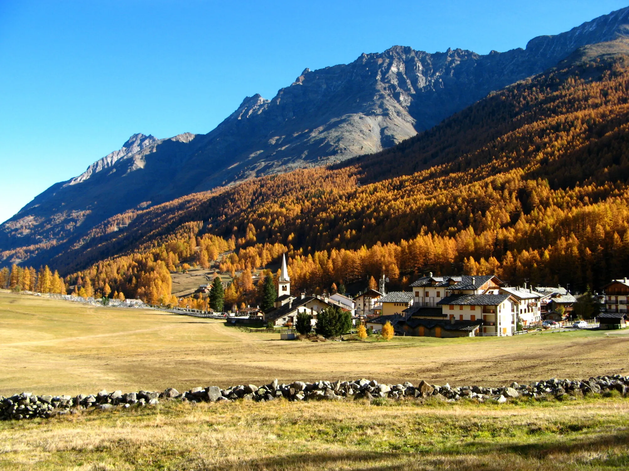 Autumn