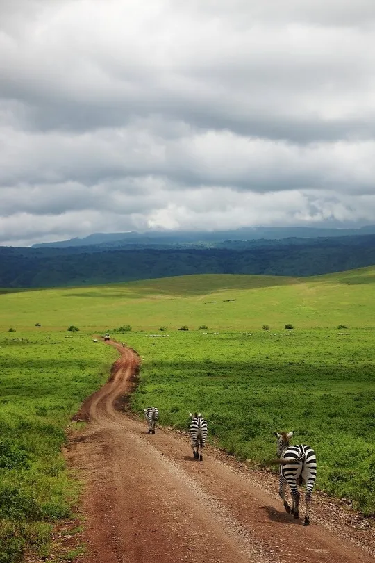 Journey