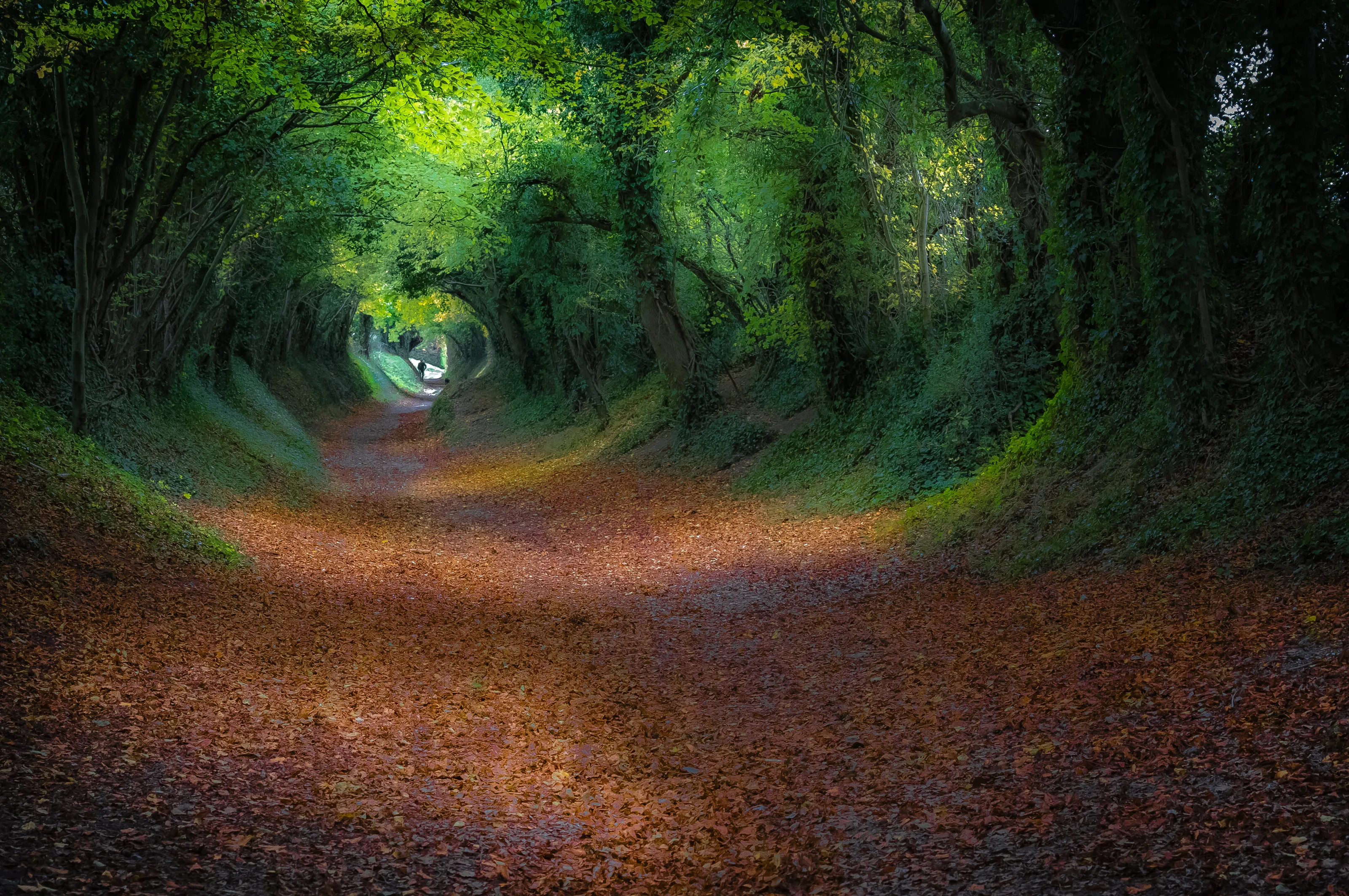 Autumn in the Shire