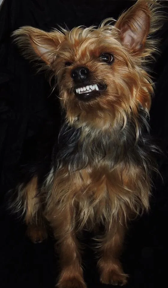 Smile