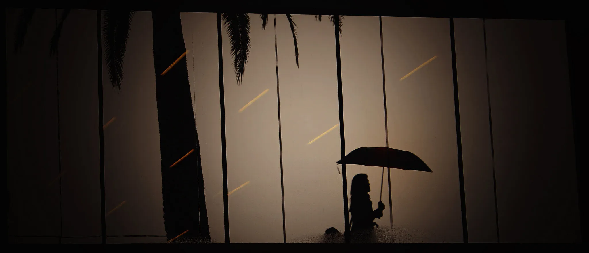 Rain