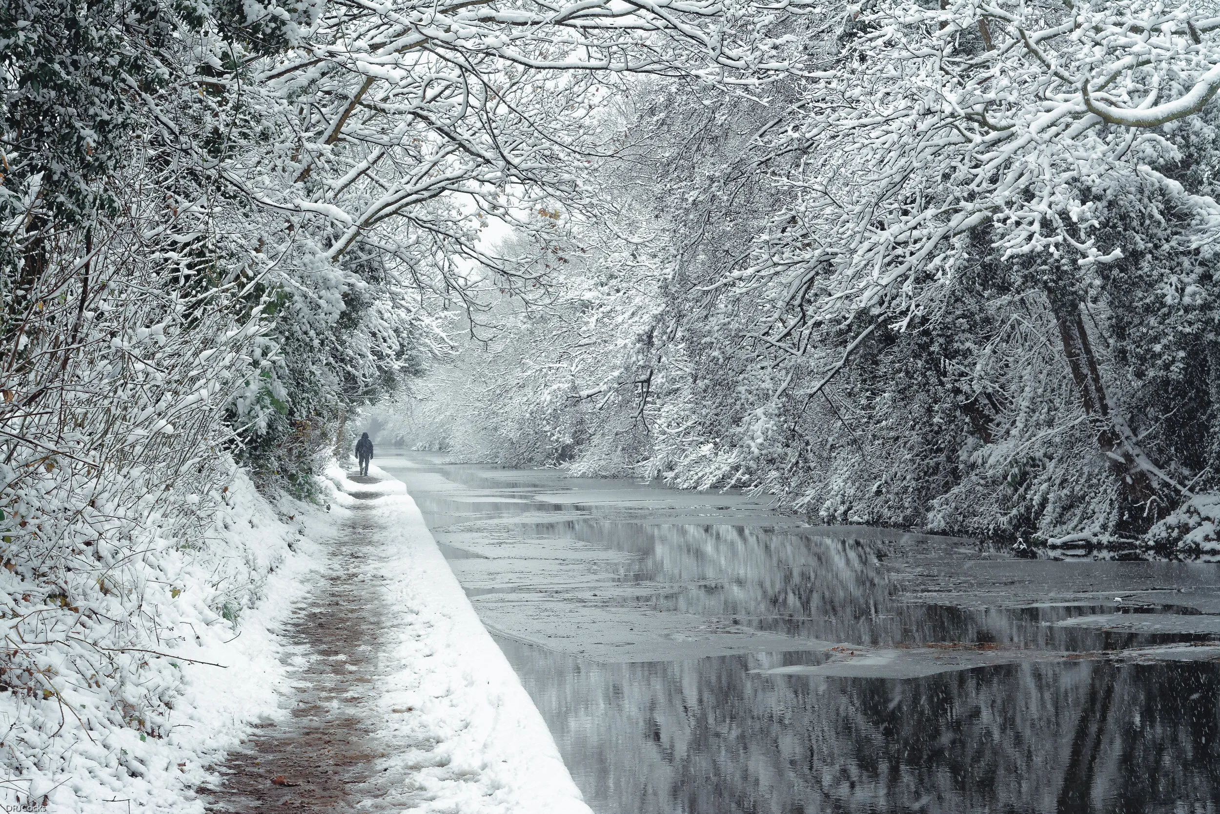 Winter walk