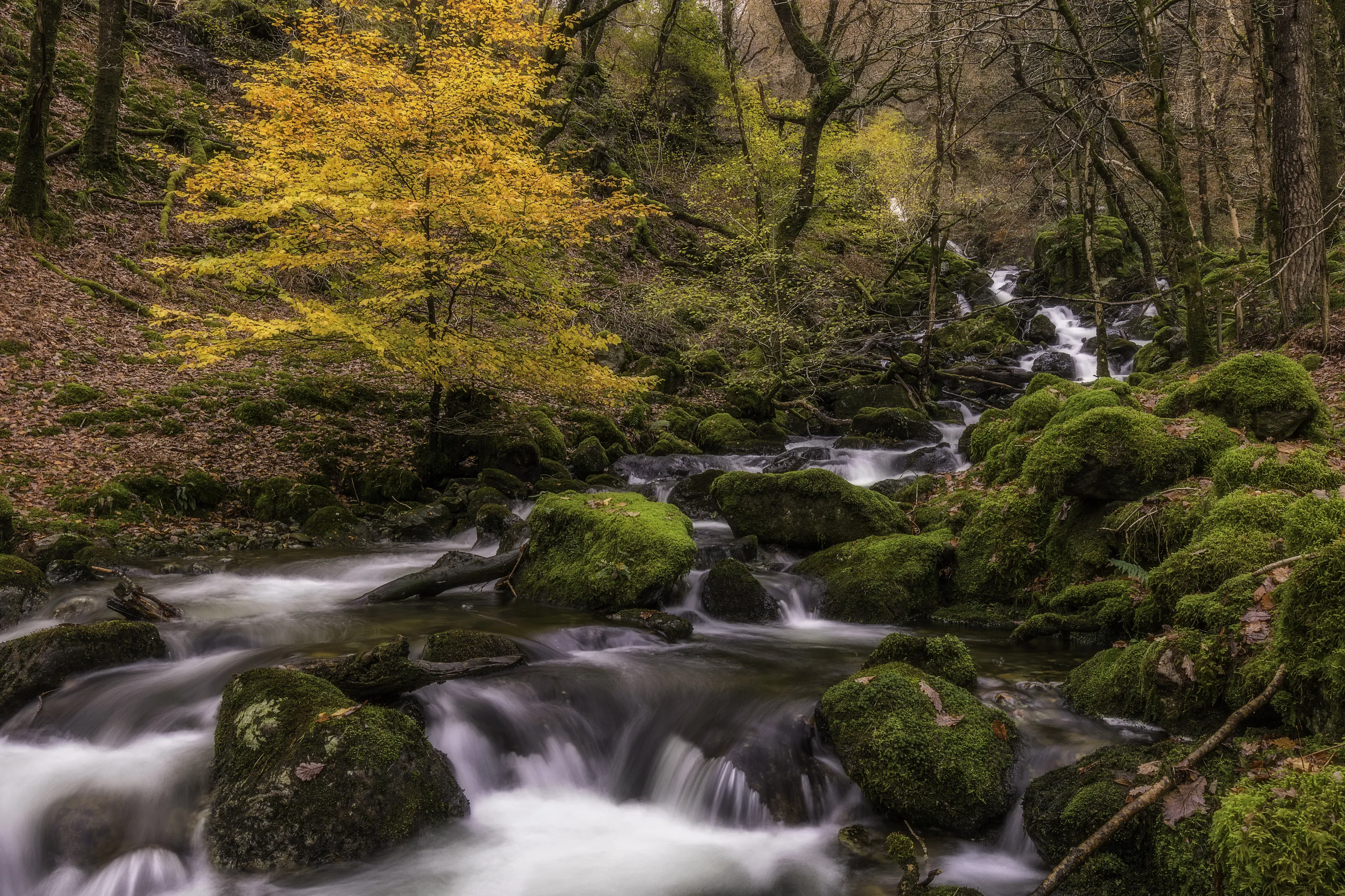 Minffordd Cascades