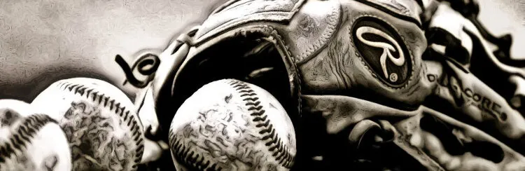 Banner image