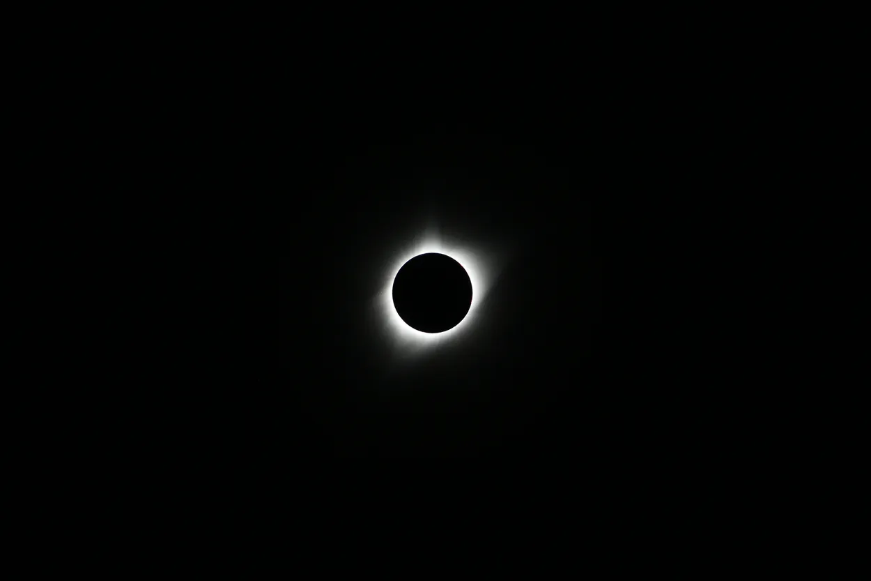 Entry 3105333