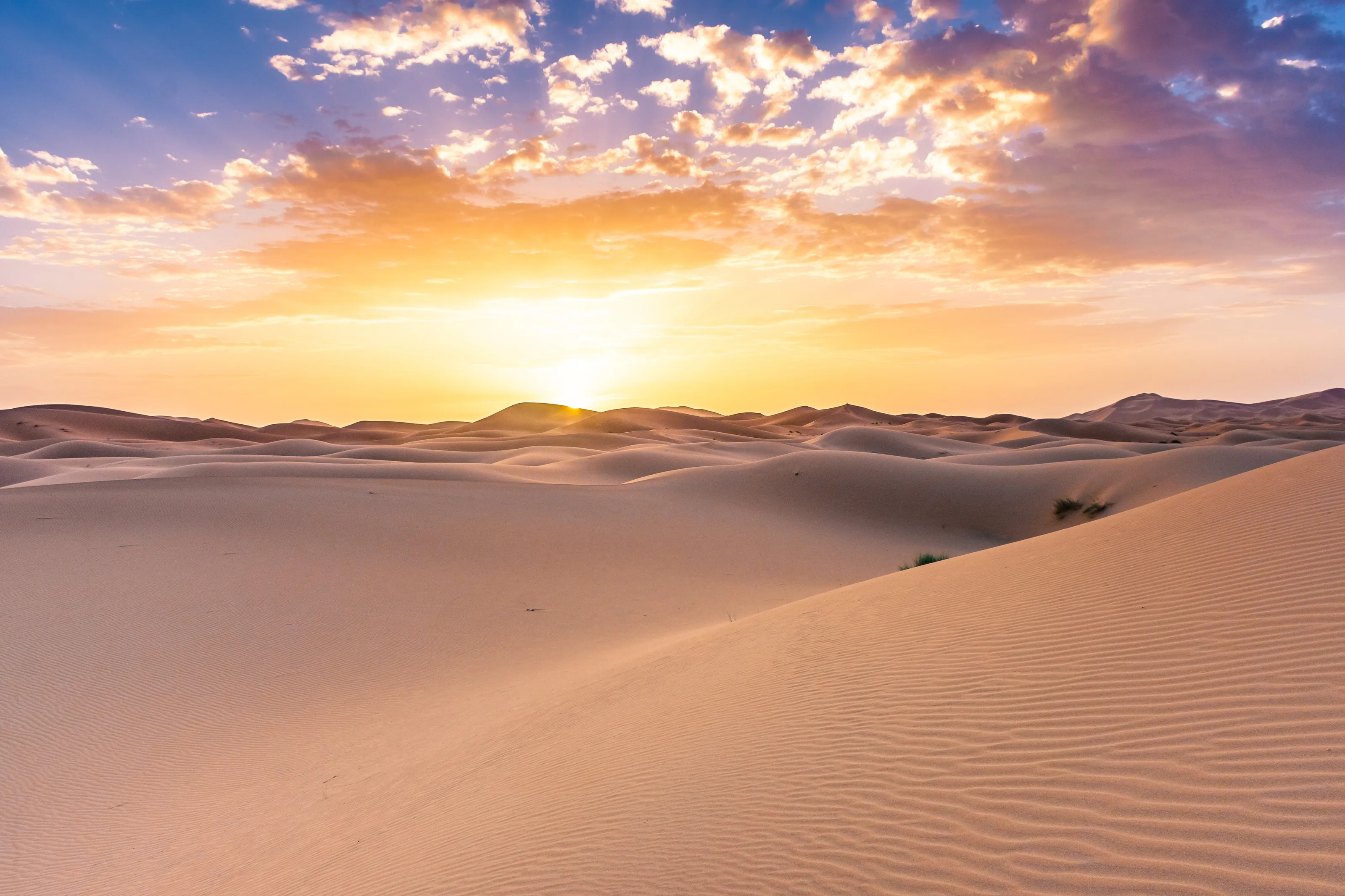 Dawn over the Sahara Desert, Morocco